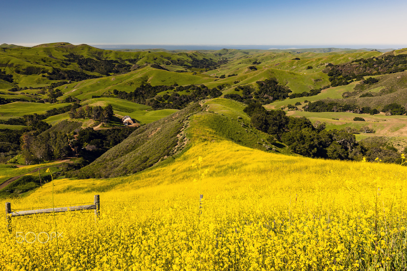 Canon EOS 5D Mark II + Canon EF 16-35mm F2.8L USM sample photo. Green valley rd to paso robles photography