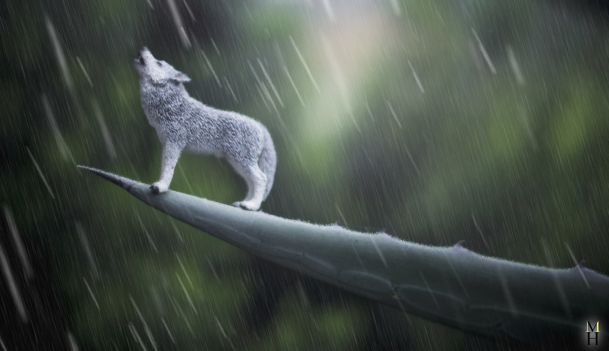 Nikon D7100 + Nikon AF-S Nikkor 50mm F1.4G sample photo. Wolf toy under the rain photography