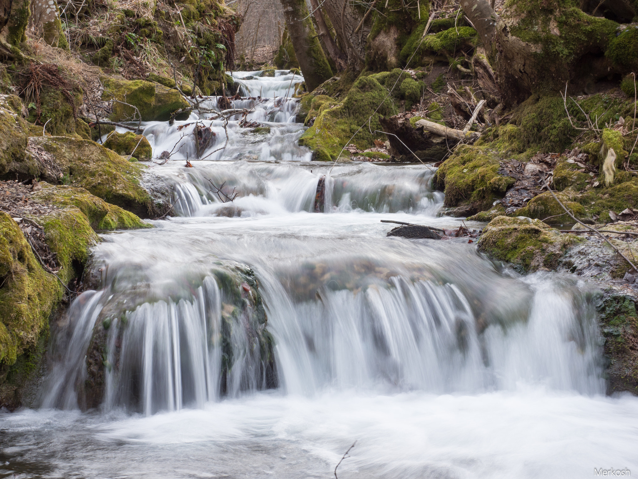 Olympus OM-D E-M1 Mark II + Olympus M.Zuiko Digital ED 12-40mm F2.8 Pro sample photo. Step by step photography