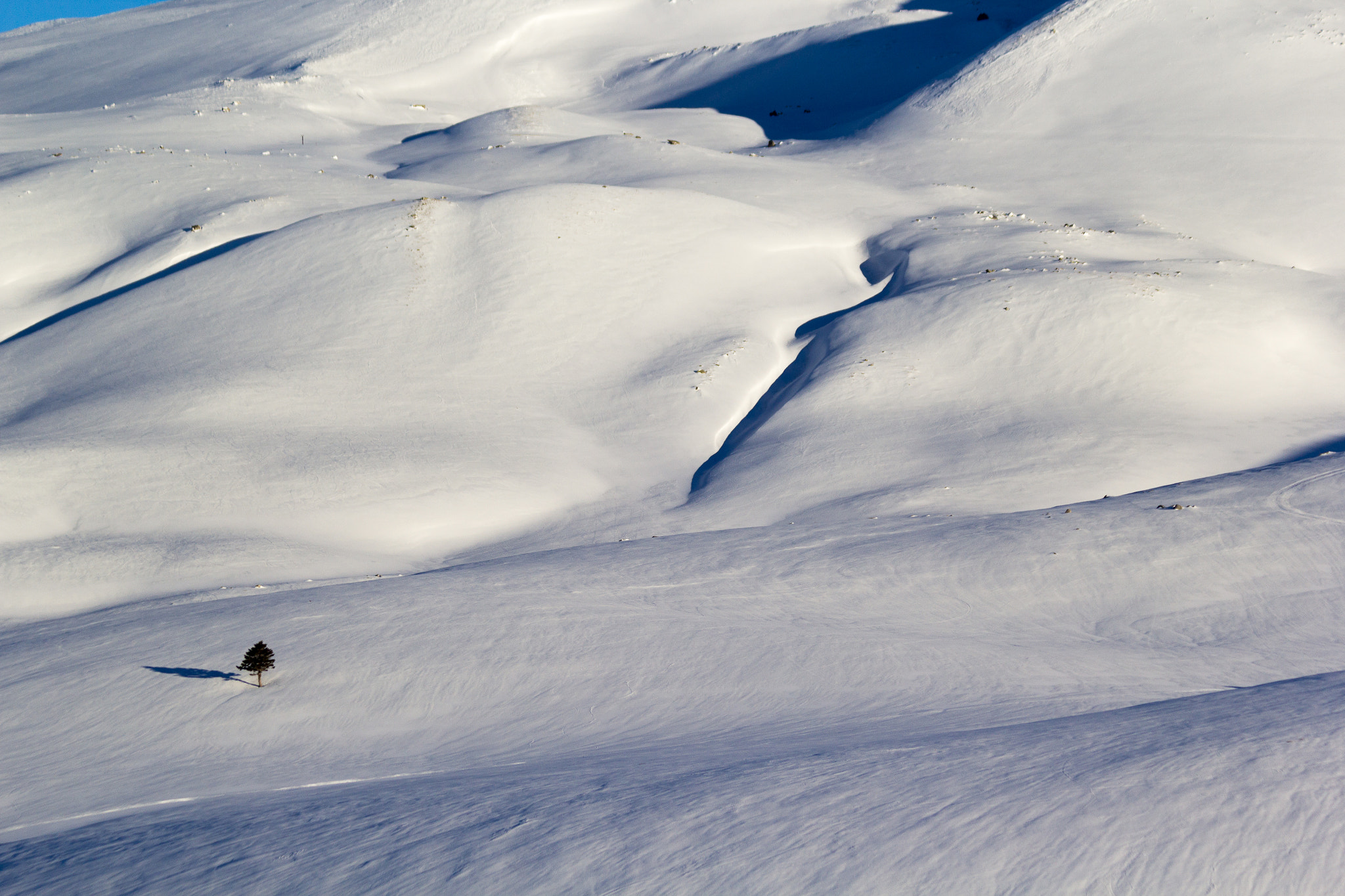 Canon EF 70-300mm F4-5.6 IS USM sample photo. Alone photography