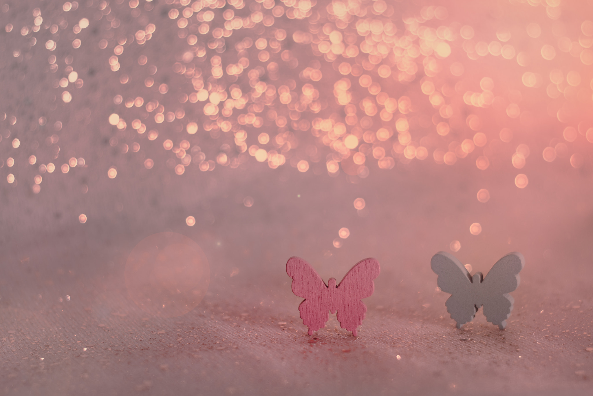 Canon EF 35-80mm f/4-5.6 sample photo. Sueños de mariposa photography