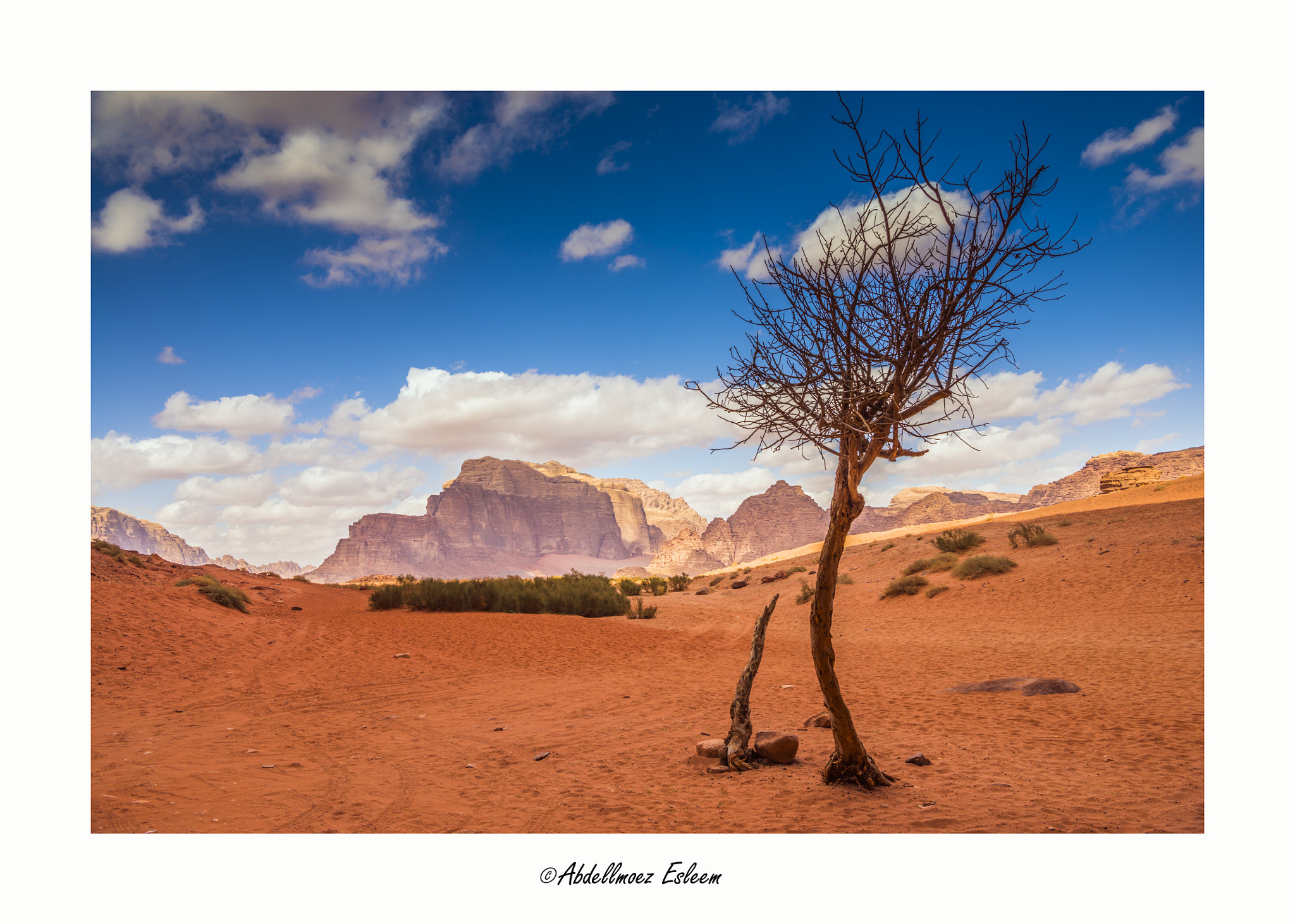 Nikon AF-S Nikkor 24-70mm F2.8E ED VR sample photo. Wadi rum photography