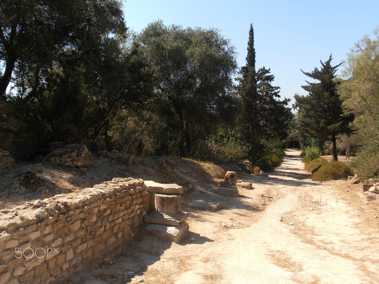 Olympus VR310,D720 sample photo. Through carthage photography