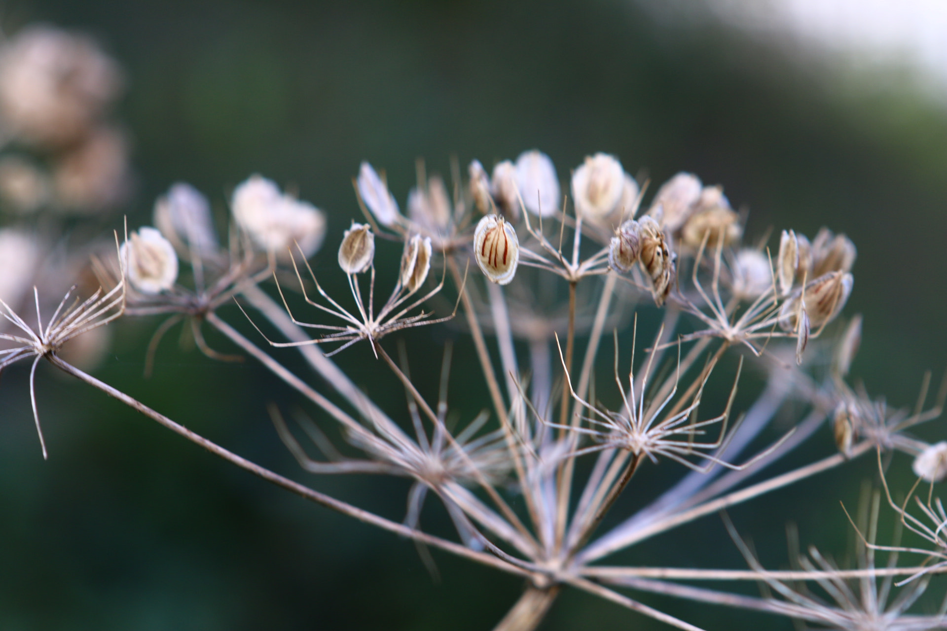 Canon EOS 70D + Canon EF 24-70mm F2.8L USM sample photo