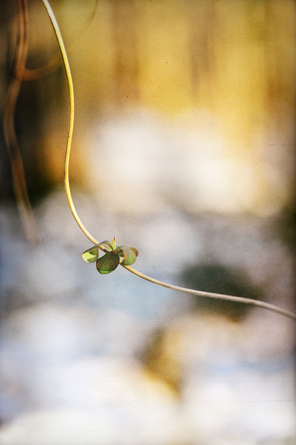 Nikon D700 sample photo. ... photography