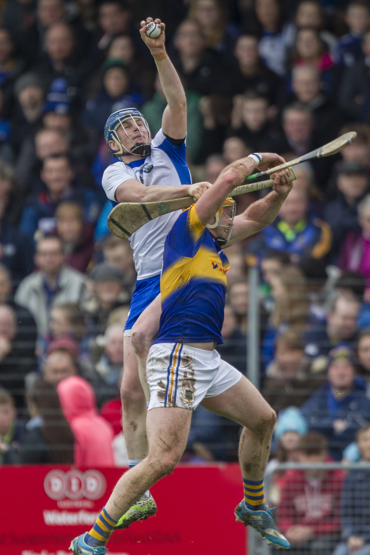 Canon EF 400mm F2.8L IS USM sample photo. Tipps padraic maher and waterfords austin gleeson photography