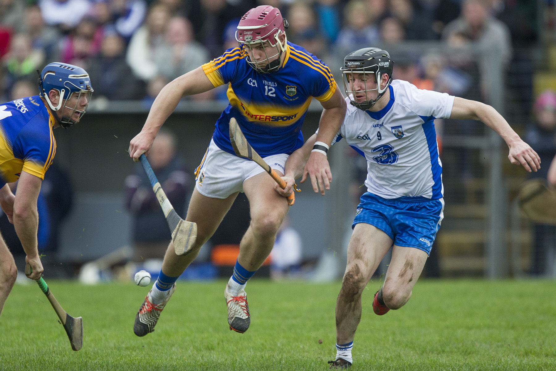 Canon EF 400mm F2.8L IS USM sample photo. Tipps steven o brien and waterfords conor gleeson photography
