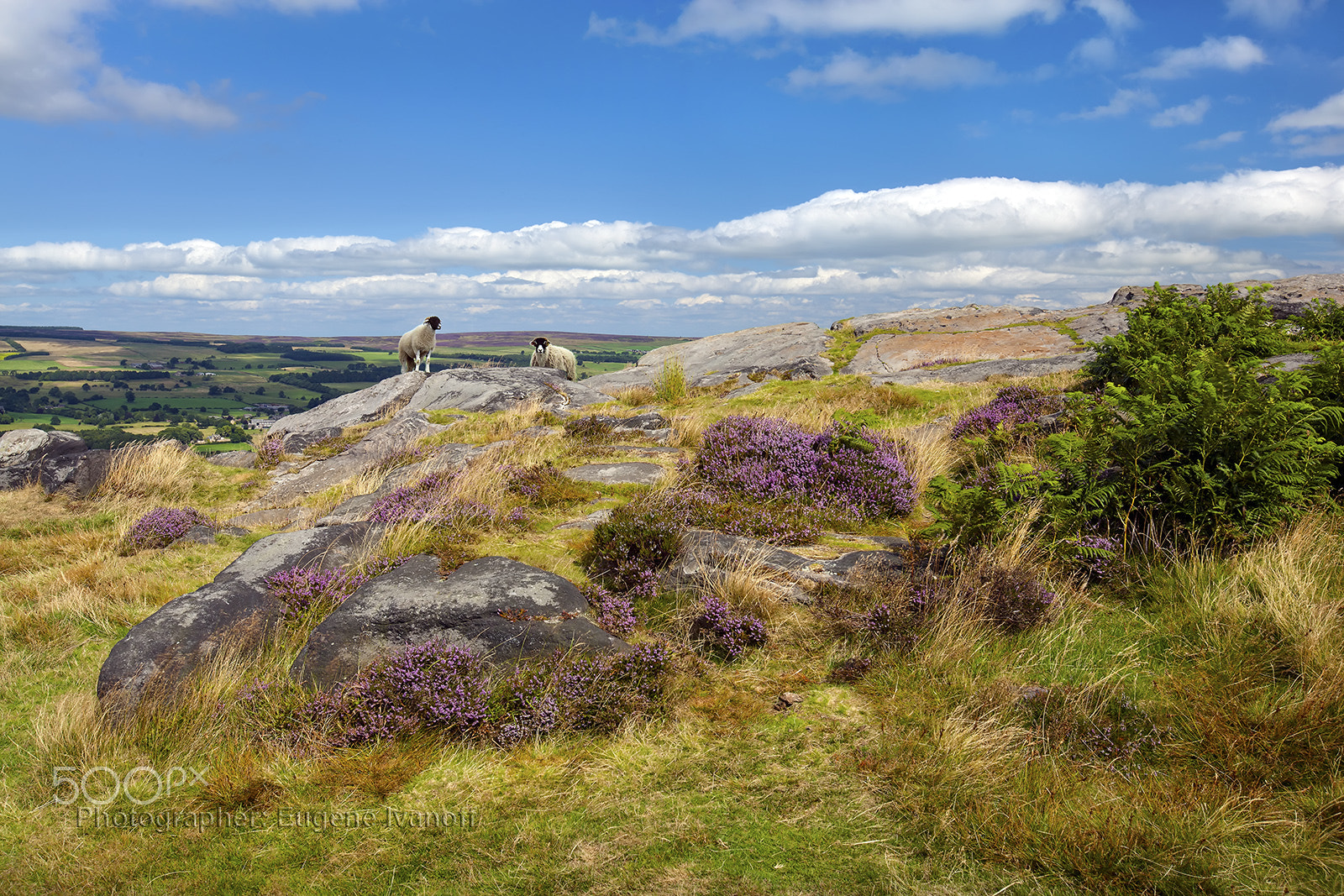 Canon EOS 5D Mark II + Canon EF 16-35mm F2.8L USM sample photo. Ilkley moor, west yorkshire, uk photography