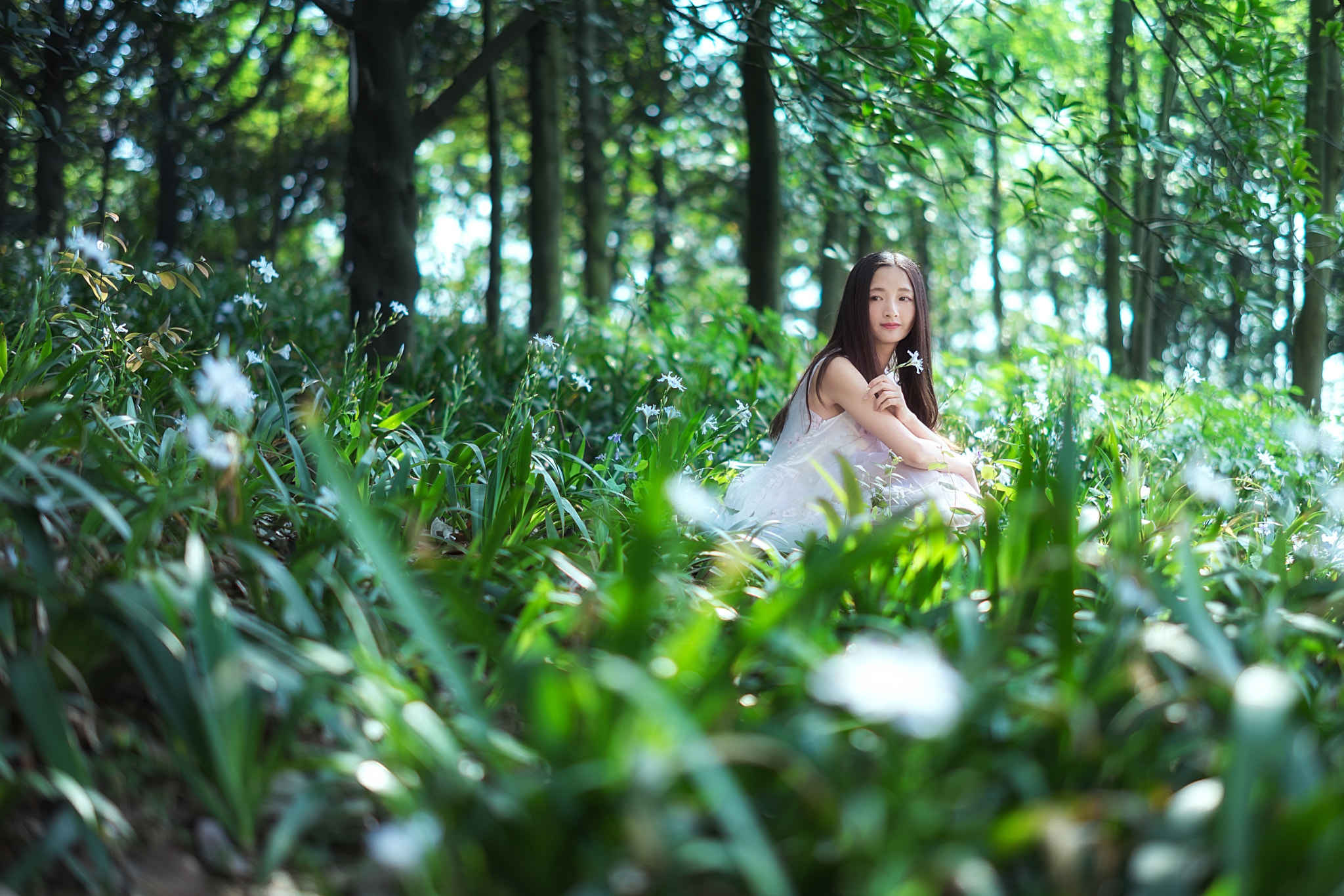 ZEISS Milvus 50mm F1.4 sample photo. Forest elf #2 photography