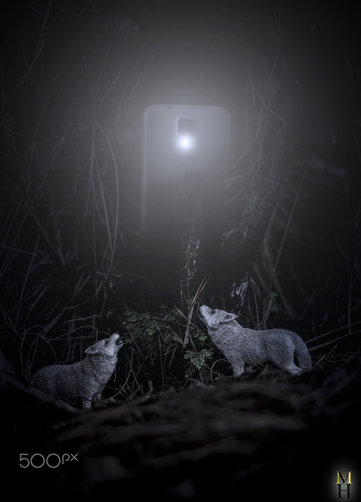 Nikon D7100 sample photo. Wolfs under the light of my mobile photography