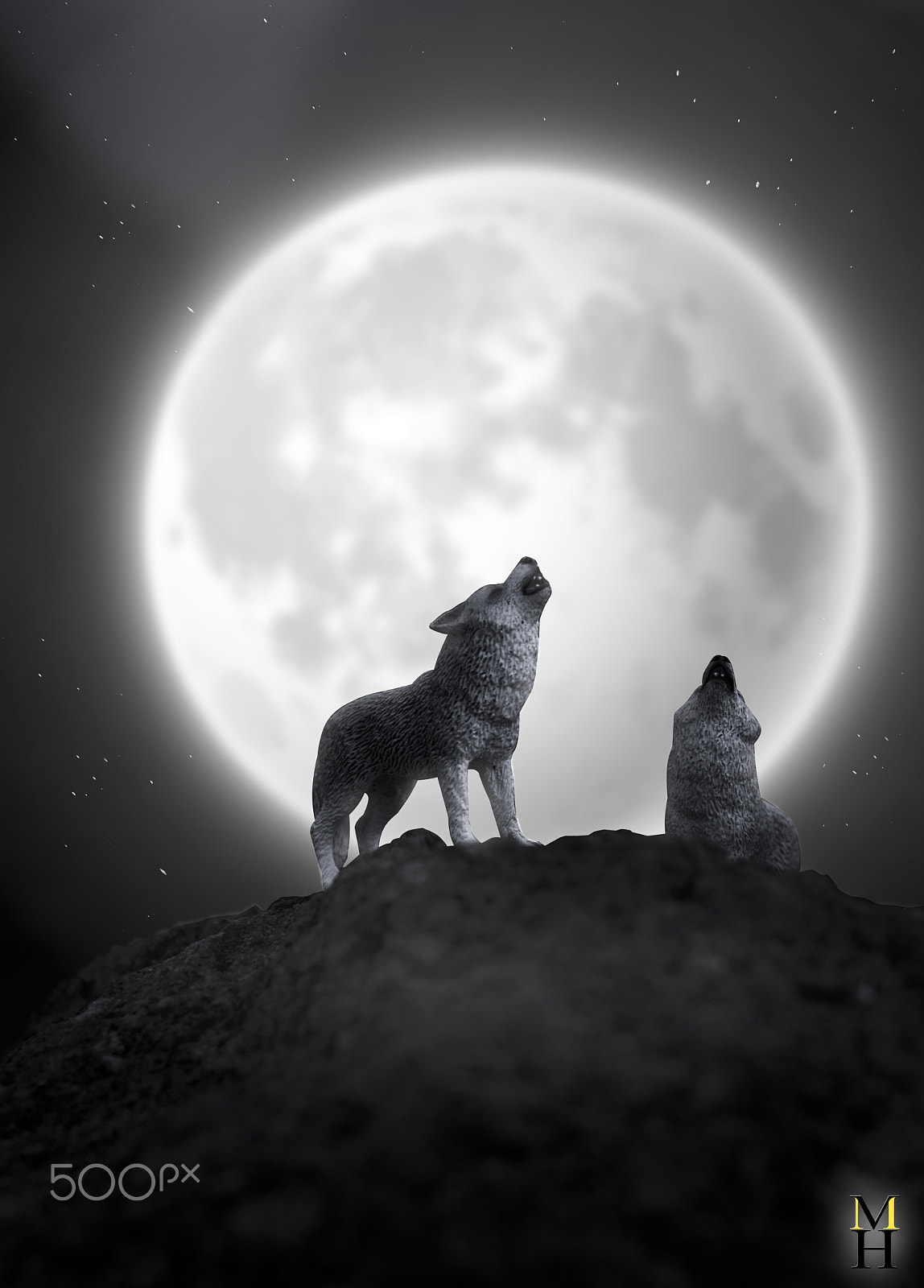 Nikon D7100 + Nikon AF-S Nikkor 50mm F1.4G sample photo. Wolf front moon photography