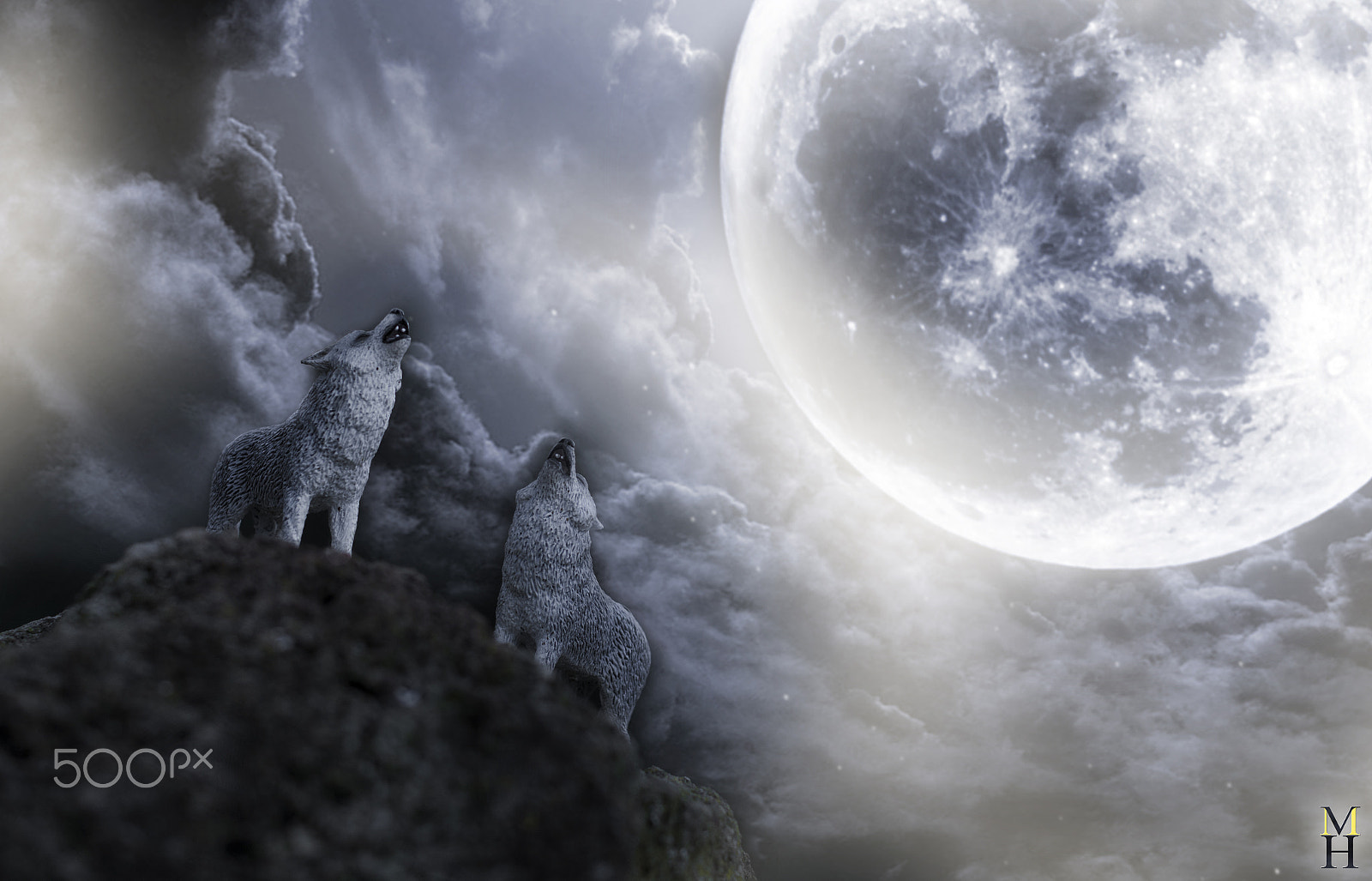 Nikon D7100 + Nikon AF-S Nikkor 50mm F1.4G sample photo. Wolfs and moon photography