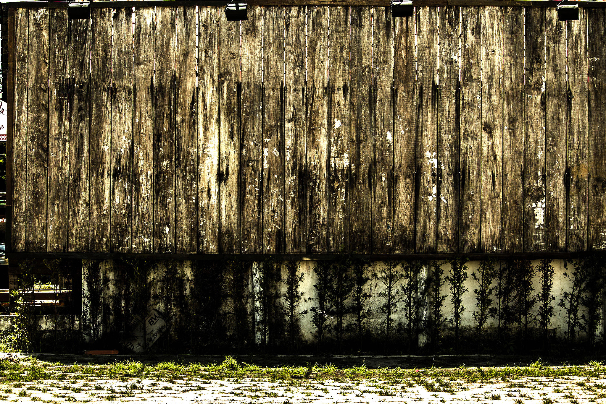 Canon EF-S 55-250mm F4-5.6 IS STM sample photo. Parede de madeira photography