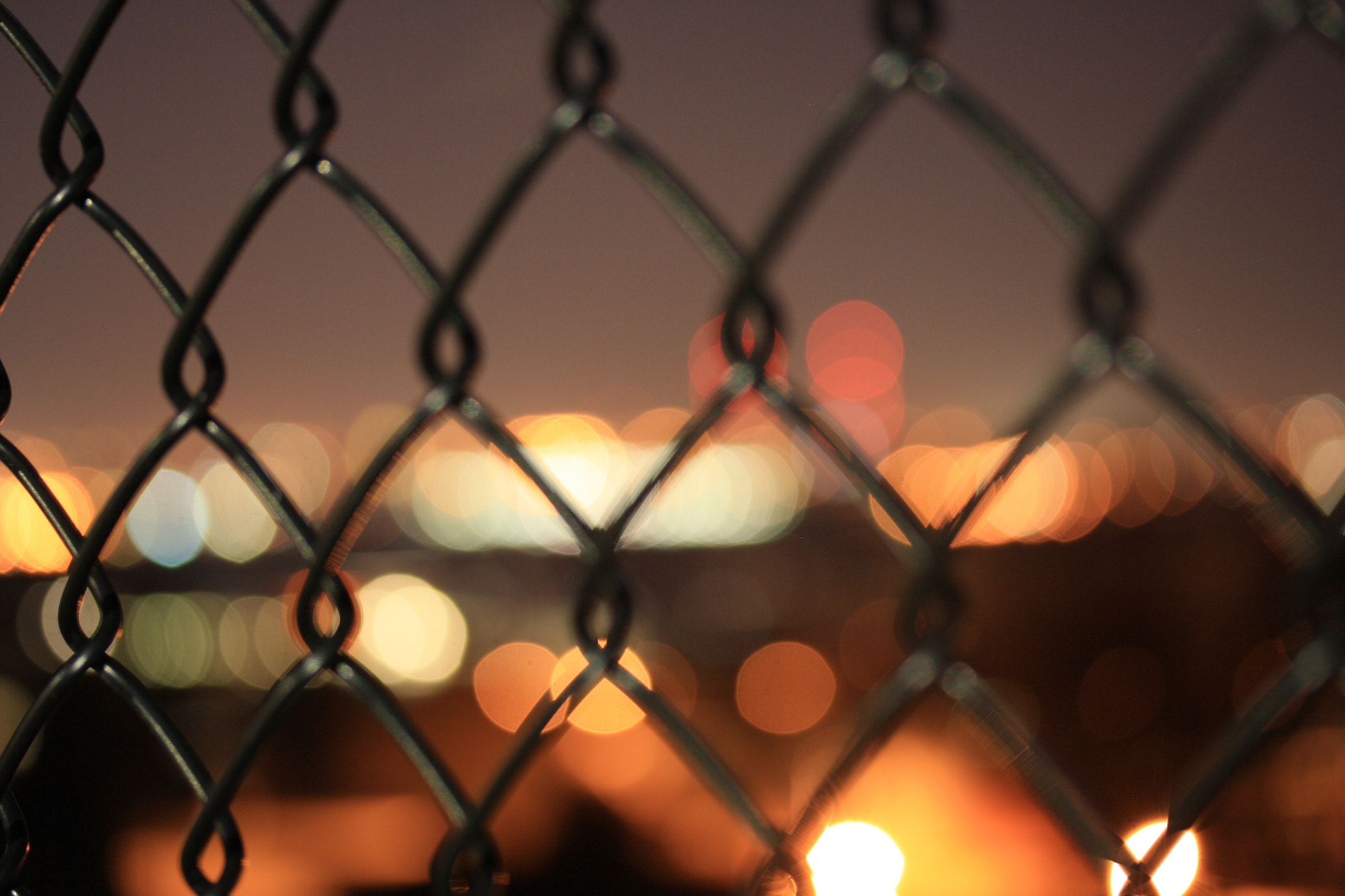 Canon EOS 1000D (EOS Digital Rebel XS / EOS Kiss F) sample photo. The barrier between us photography