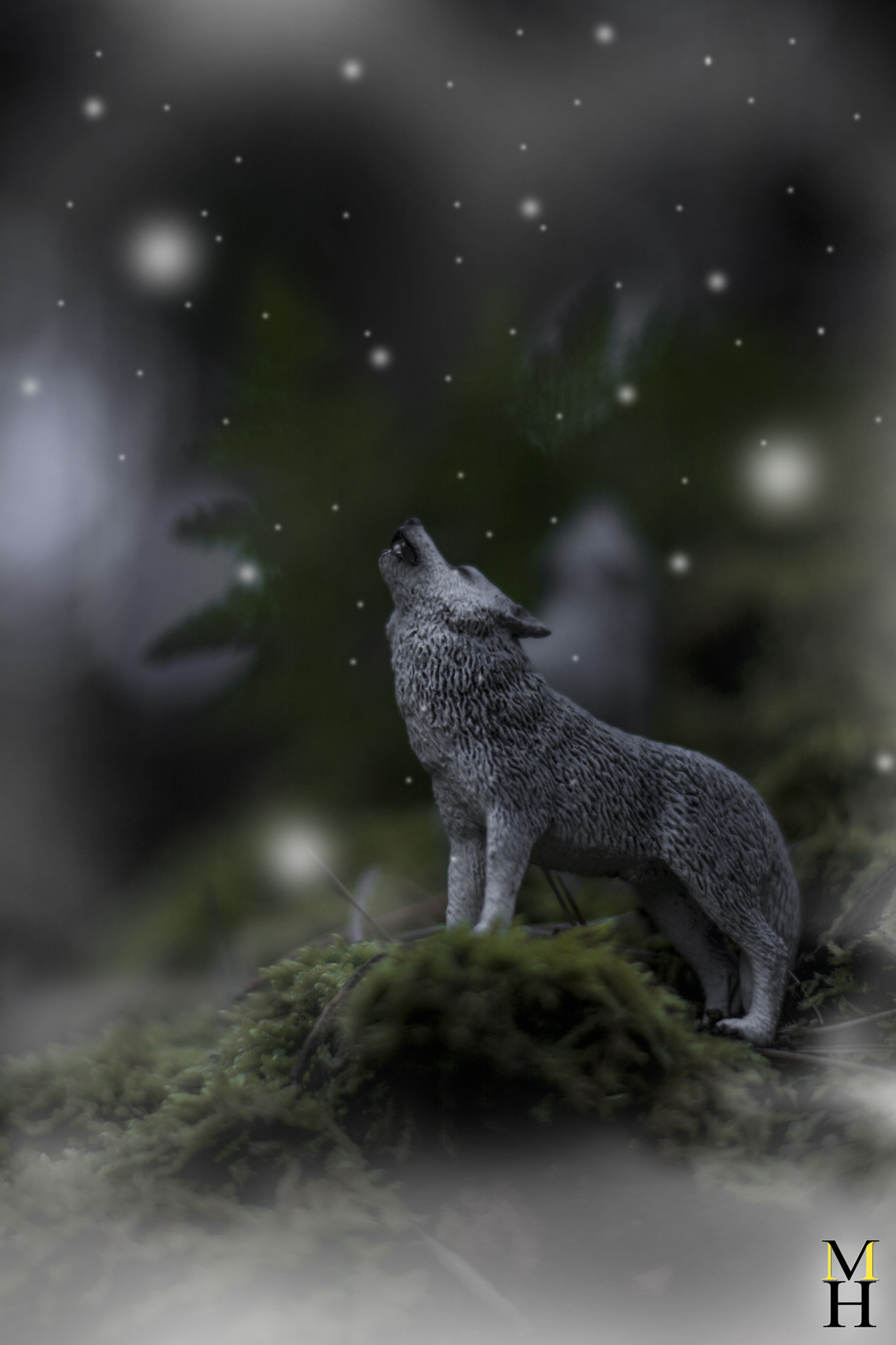 Nikon D7100 + Nikon AF-S Nikkor 50mm F1.4G sample photo. Wolf enjoying snow photography