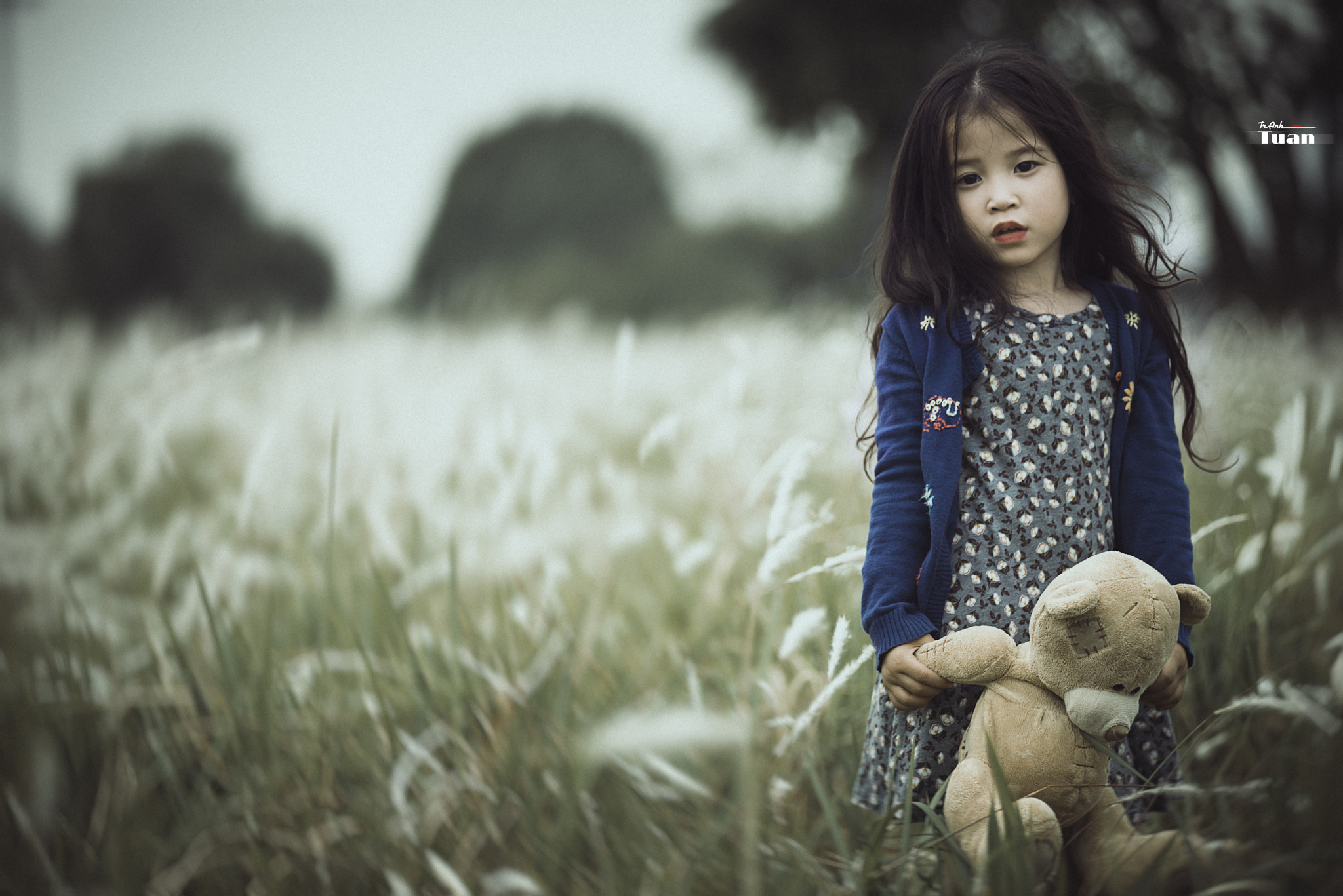 Nikon AF-Nikkor 80-200mm F2.8D ED sample photo. Teddy photography