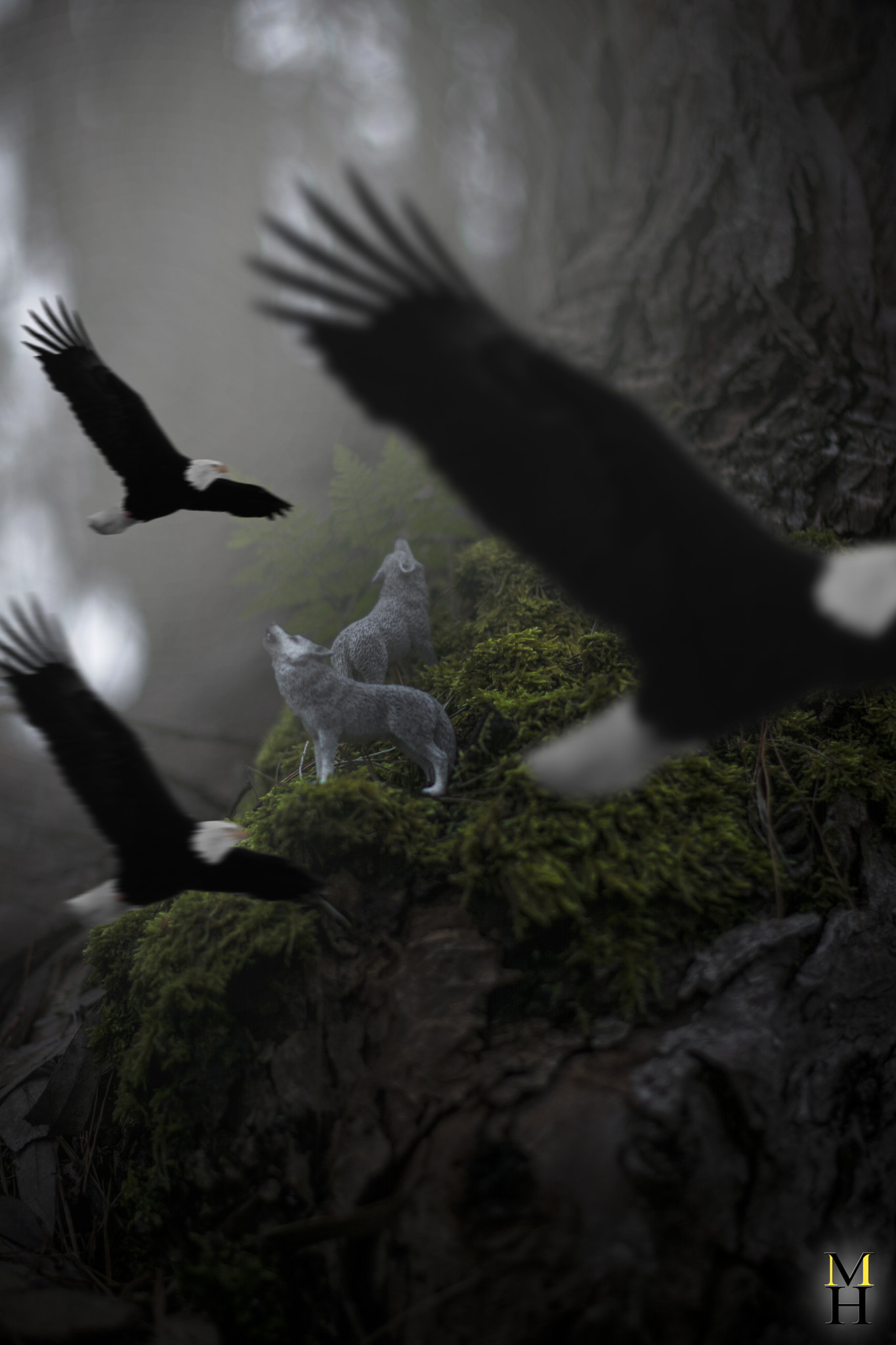 Nikon D7100 + Nikon AF-S Nikkor 50mm F1.4G sample photo. Wolfs and eagles photography