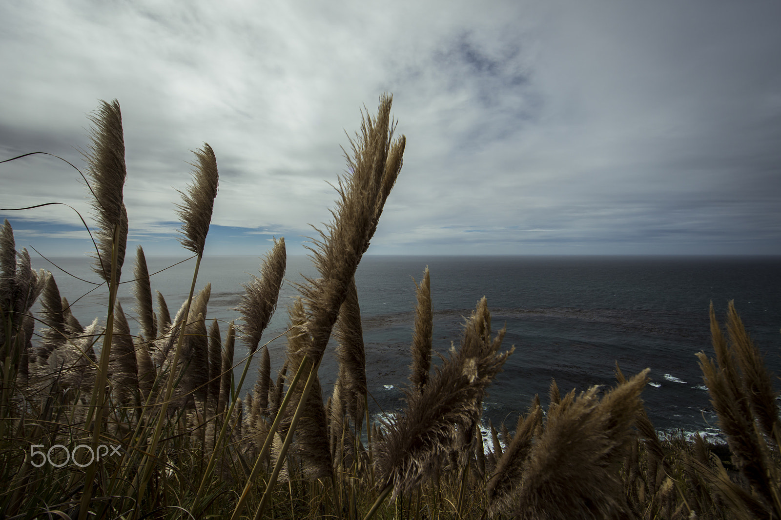 Canon EF 14mm F2.8L II USM sample photo. Highway no. 1 - view photography