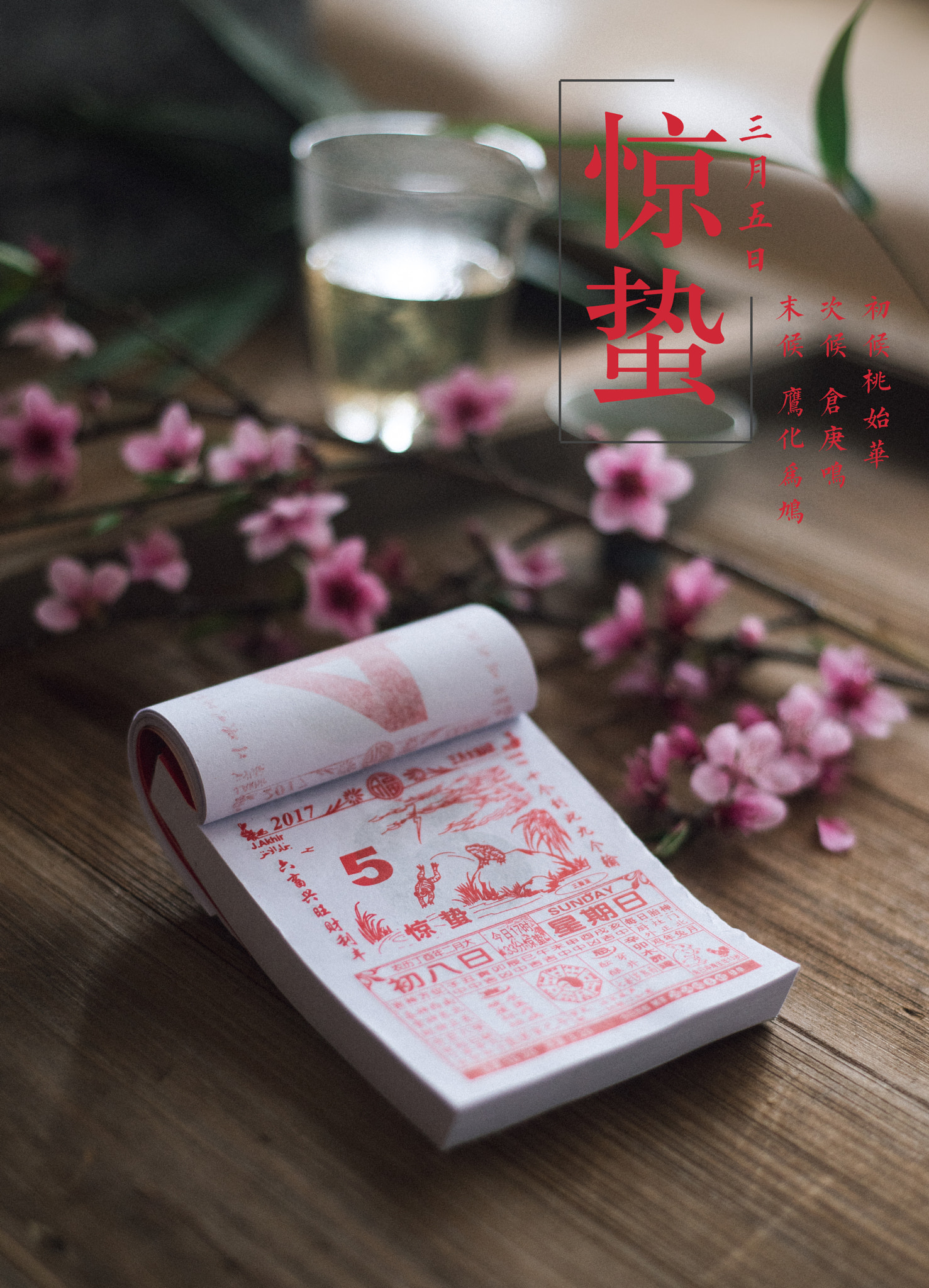 Nikon D810 + Nikon AF Nikkor 50mm F1.8D sample photo. 惊蛰 photography