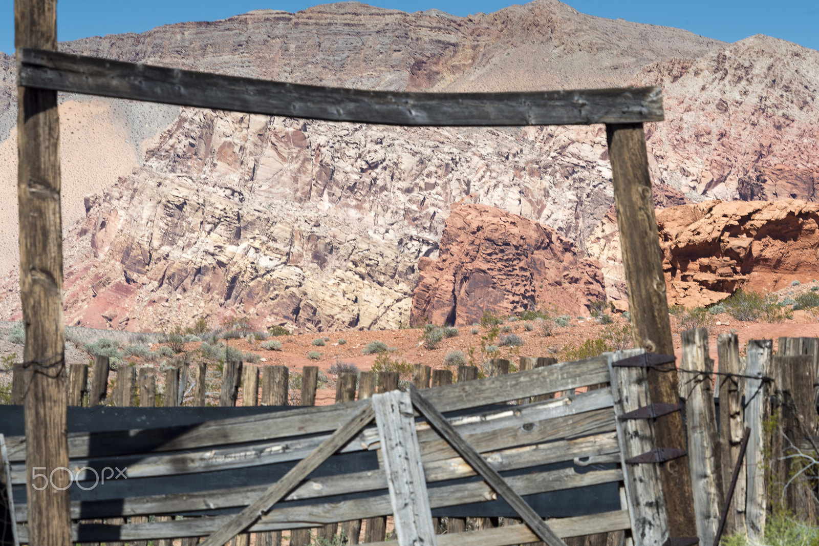 Nikon D800 sample photo. Corral photography