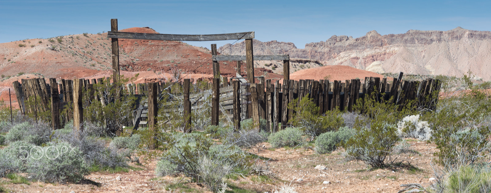 Nikon D800 sample photo. Corral photography