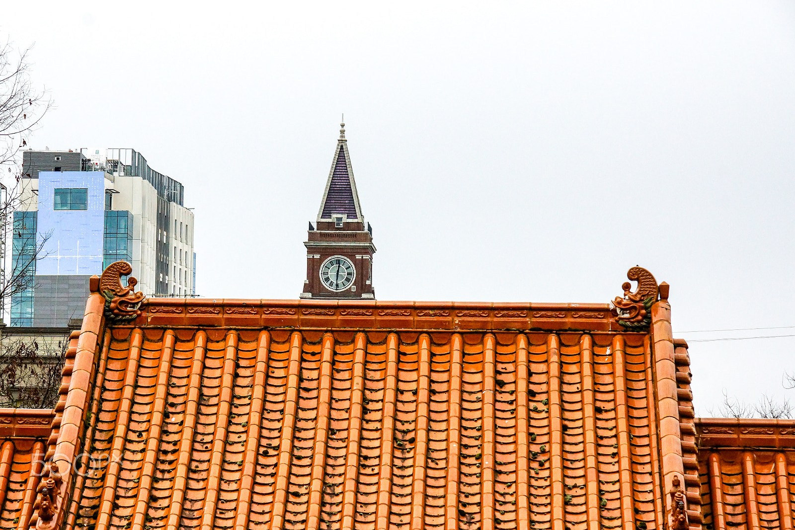 Sony SLT-A77 sample photo. The smith tower overlooking chinatown photography