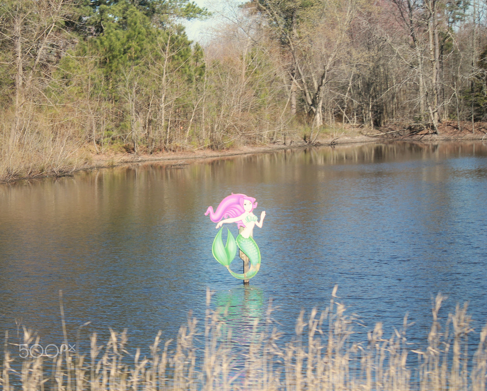 Canon EOS 1100D (EOS Rebel T3 / EOS Kiss X50) sample photo. Mermaid says, hello photography
