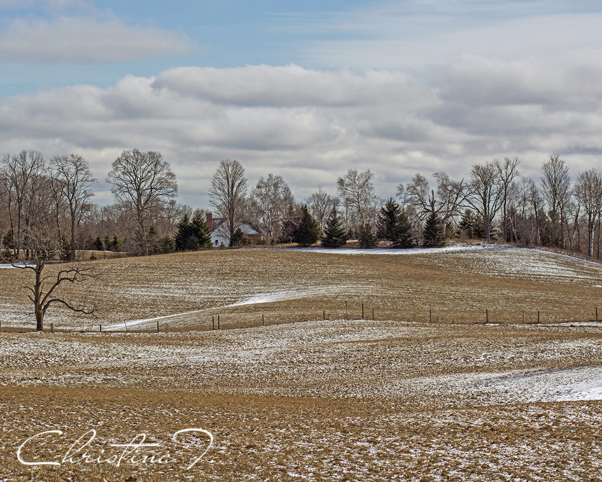Nikon D7100 sample photo. Chilly march afternoon photography