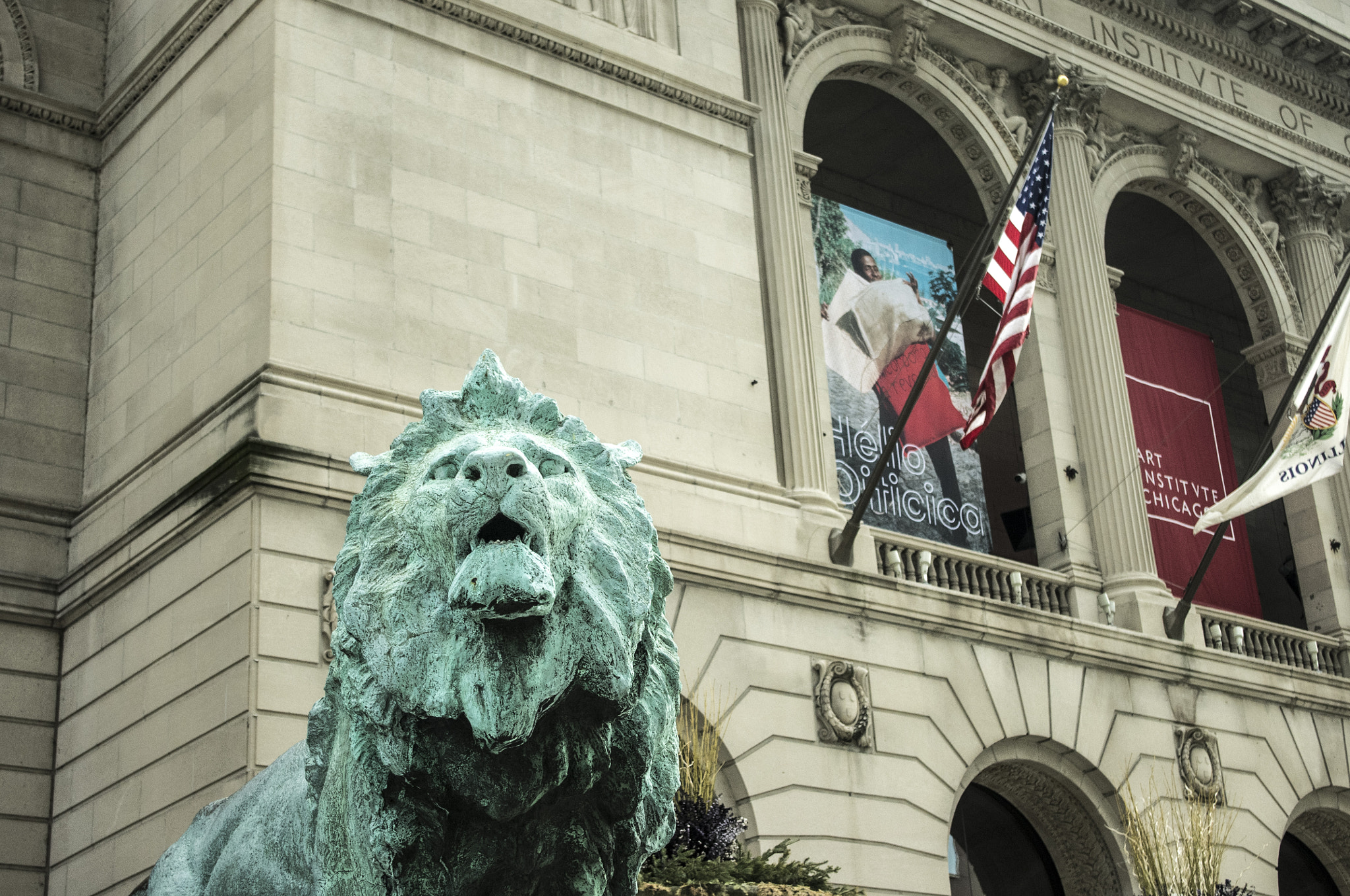 Pentax K-r sample photo. The lion. chicago, usa. photography