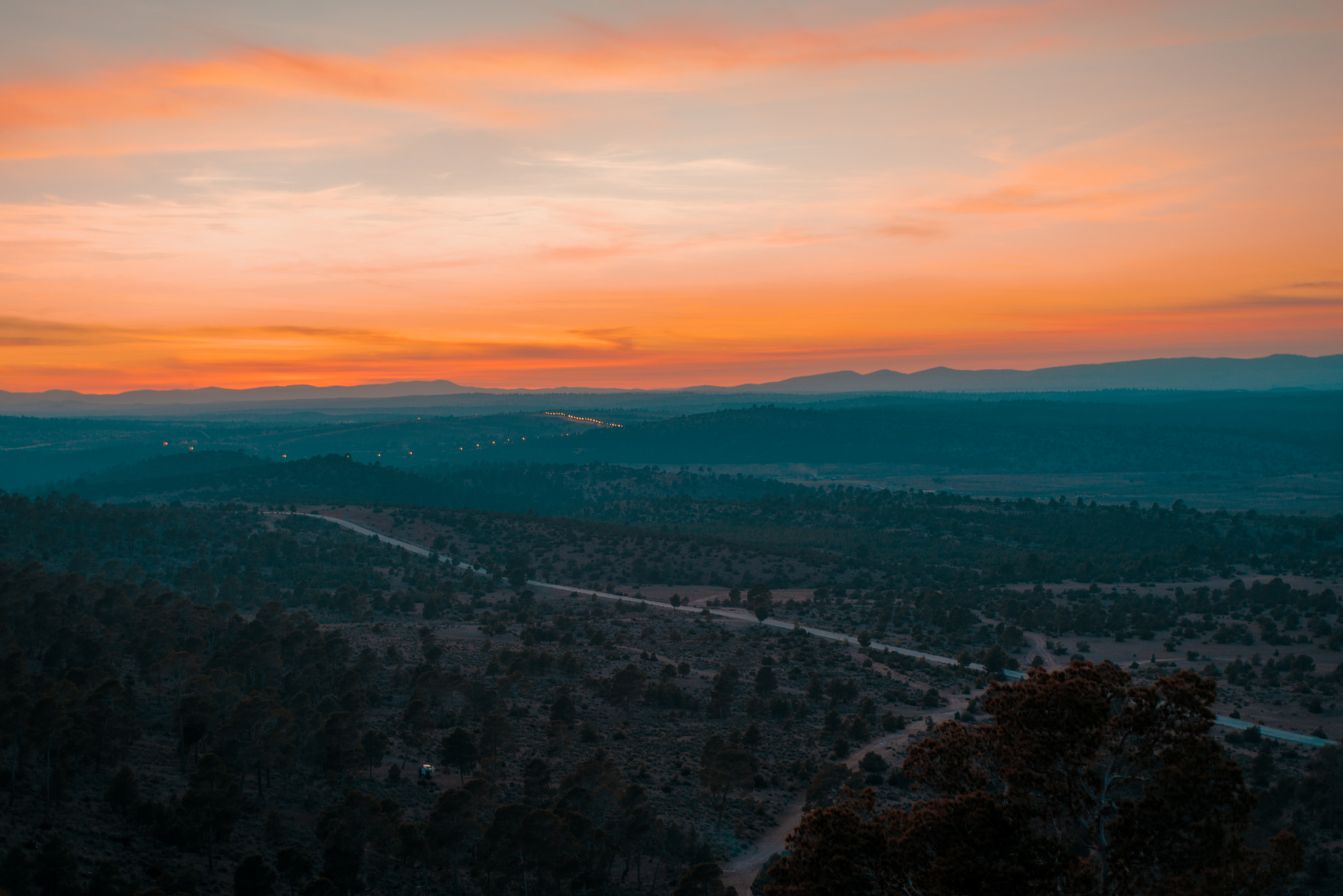 Nikon D800 + AF Nikkor 50mm f/1.8 sample photo. تحيا  الجزائر photography