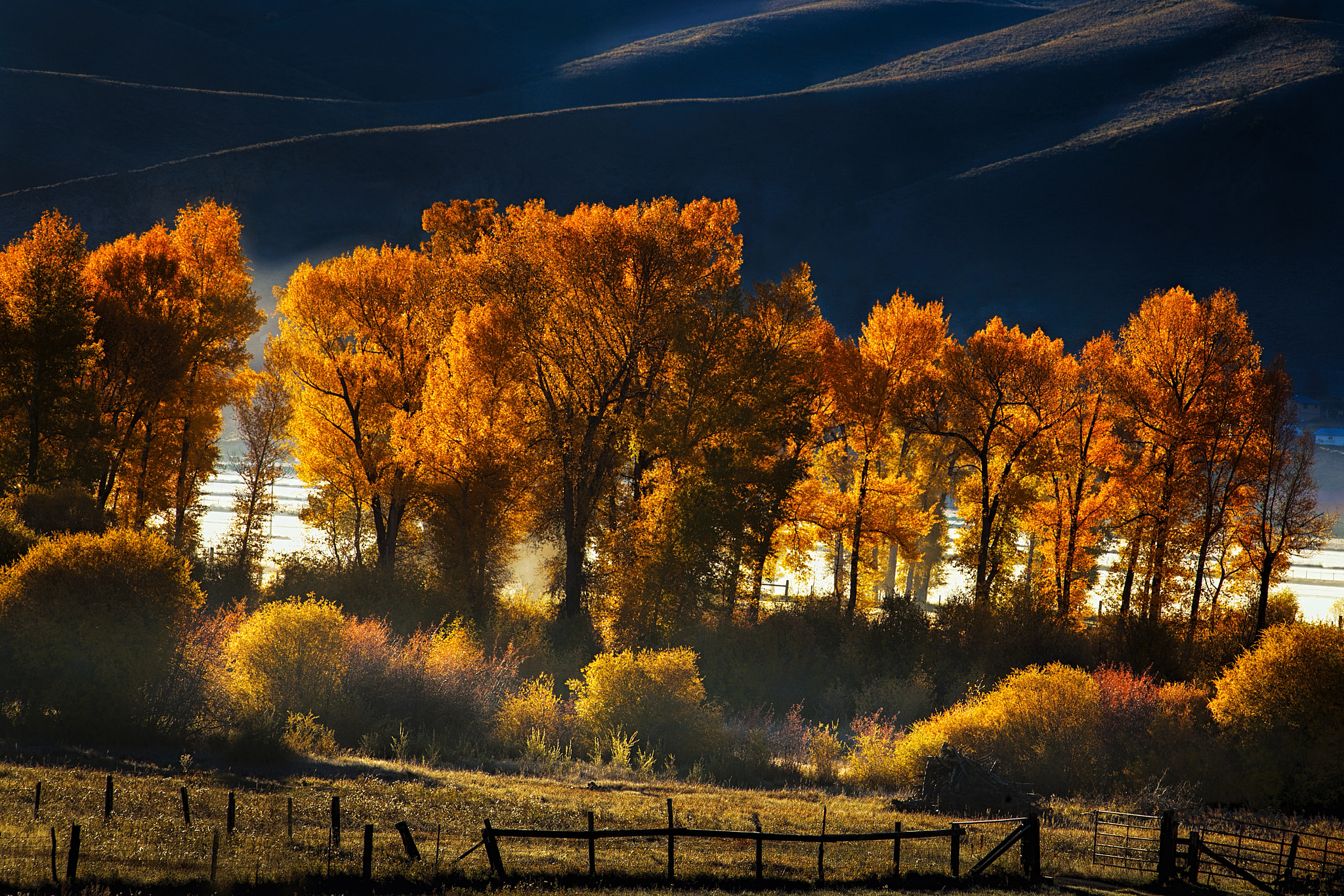 Canon EF 100-300mm F4.5-5.6 USM sample photo. Colorado autumn morning photography