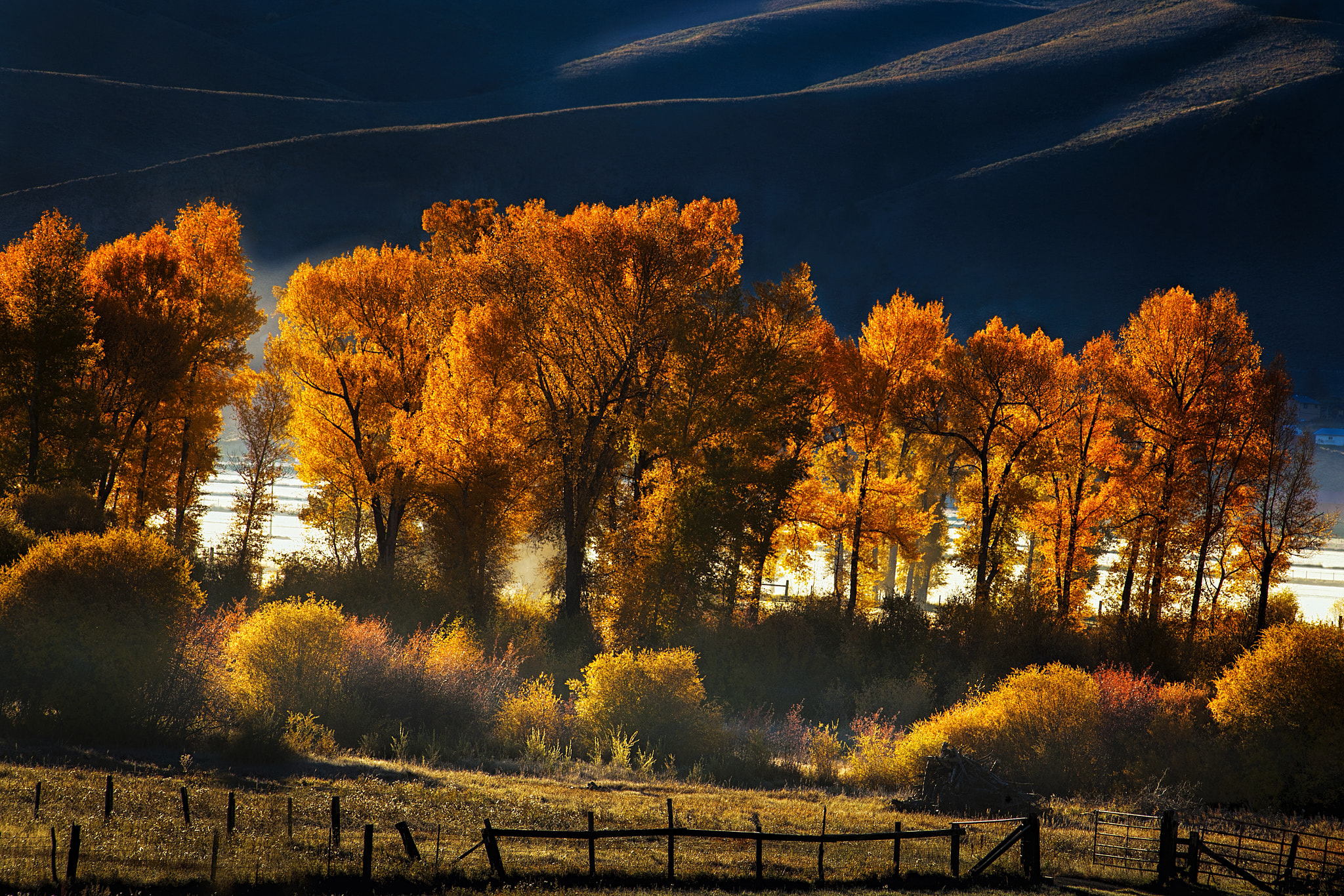 Canon EOS 5D Mark II + Canon EF 100-300mm F4.5-5.6 USM sample photo. Colorado autumn morning photography