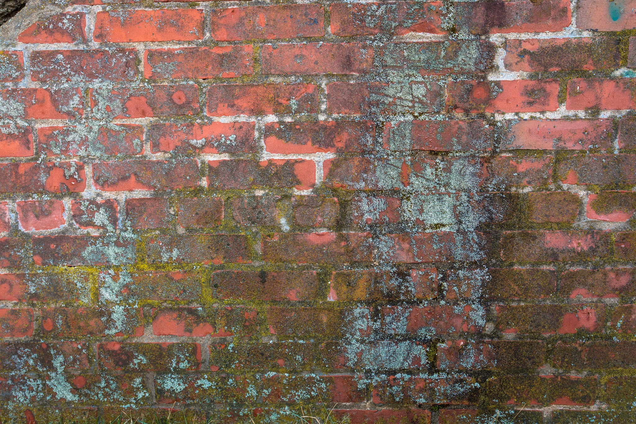 Canon EOS 70D + Canon EF 17-40mm F4L USM sample photo. The old wall photography