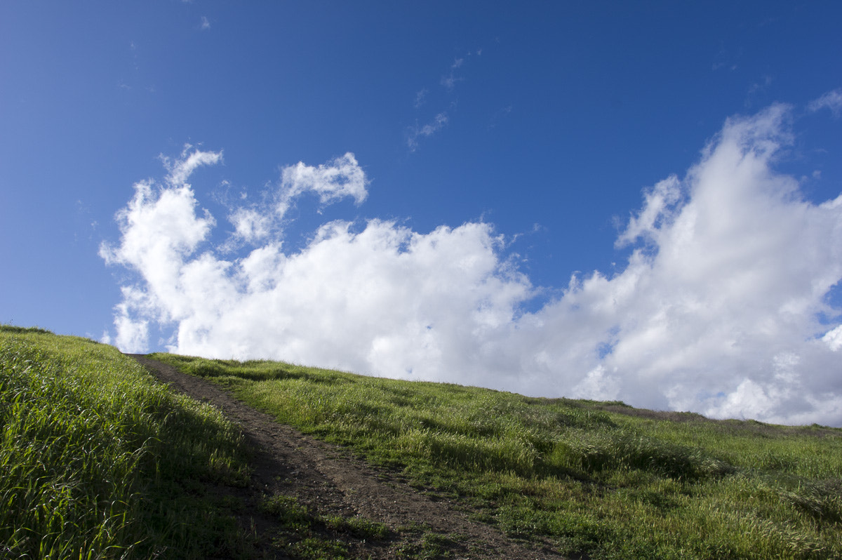 HD Pentax DA 15mm F4 ED AL Limited sample photo. Almost a bliss photography