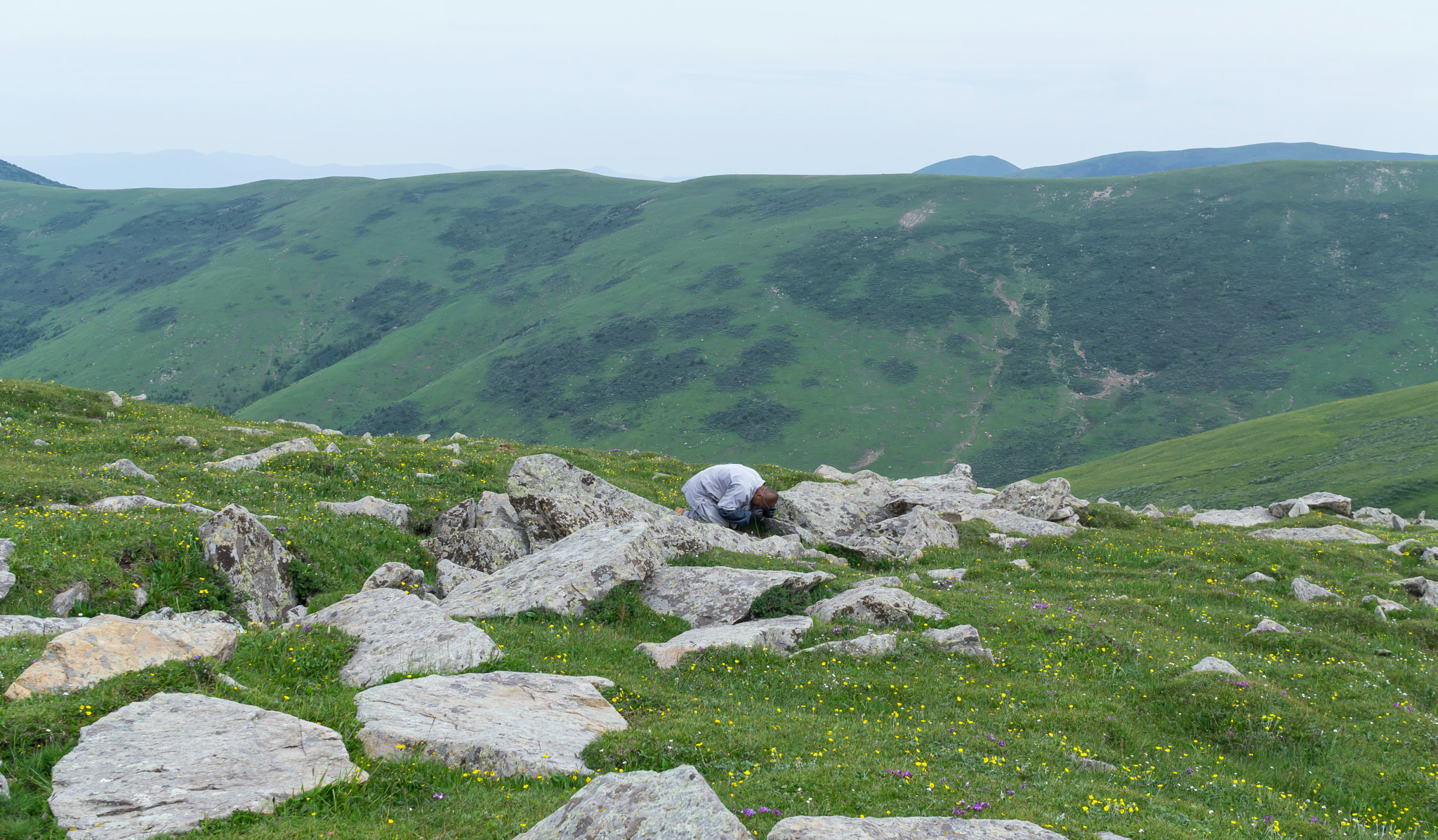 Sigma 30mm F2.8 EX DN sample photo. 山西五台山 photography