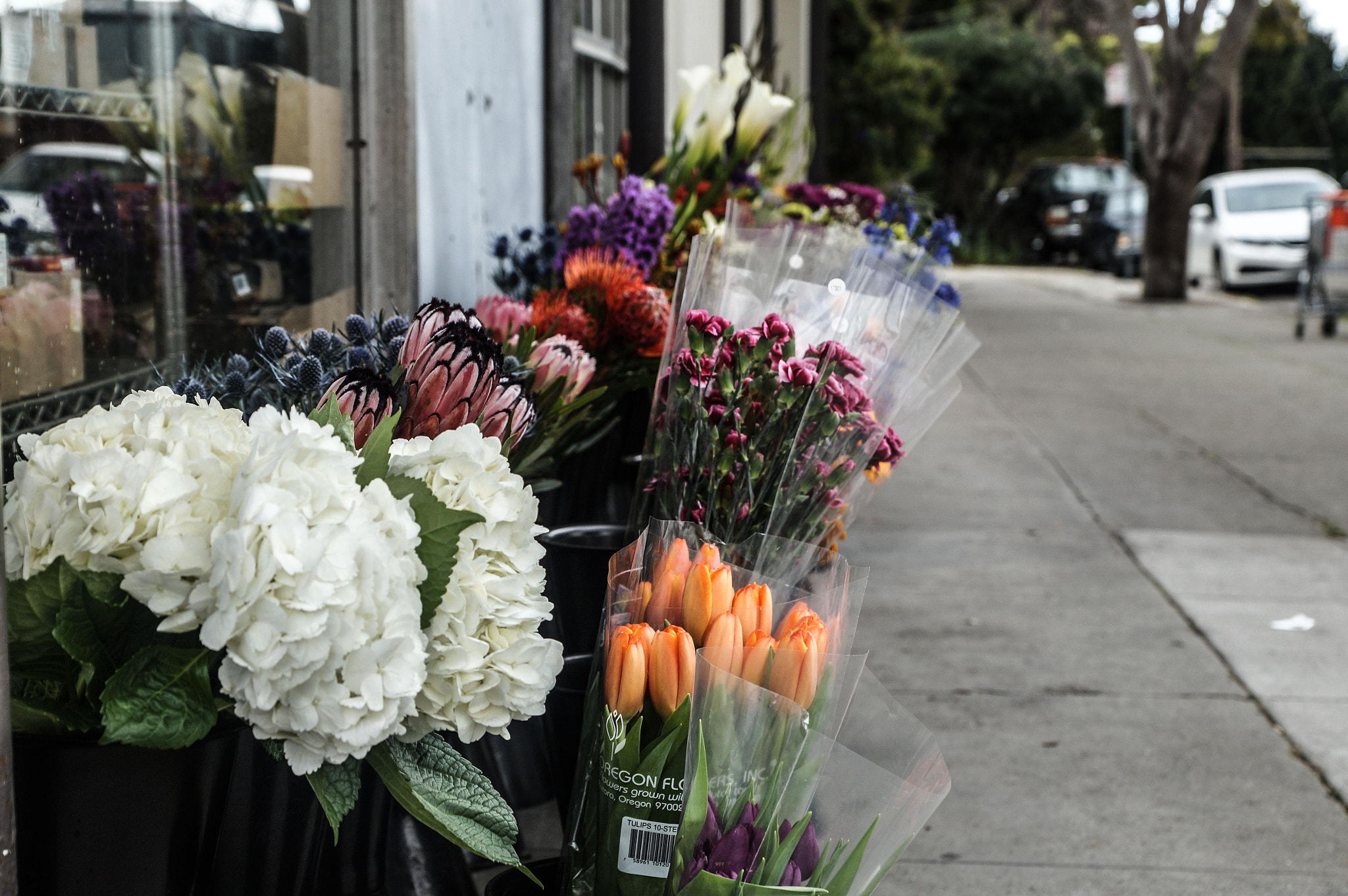 Sony SLT-A57 + Sony DT 16-50mm F2.8 SSM sample photo. Waiting to be picked up photography