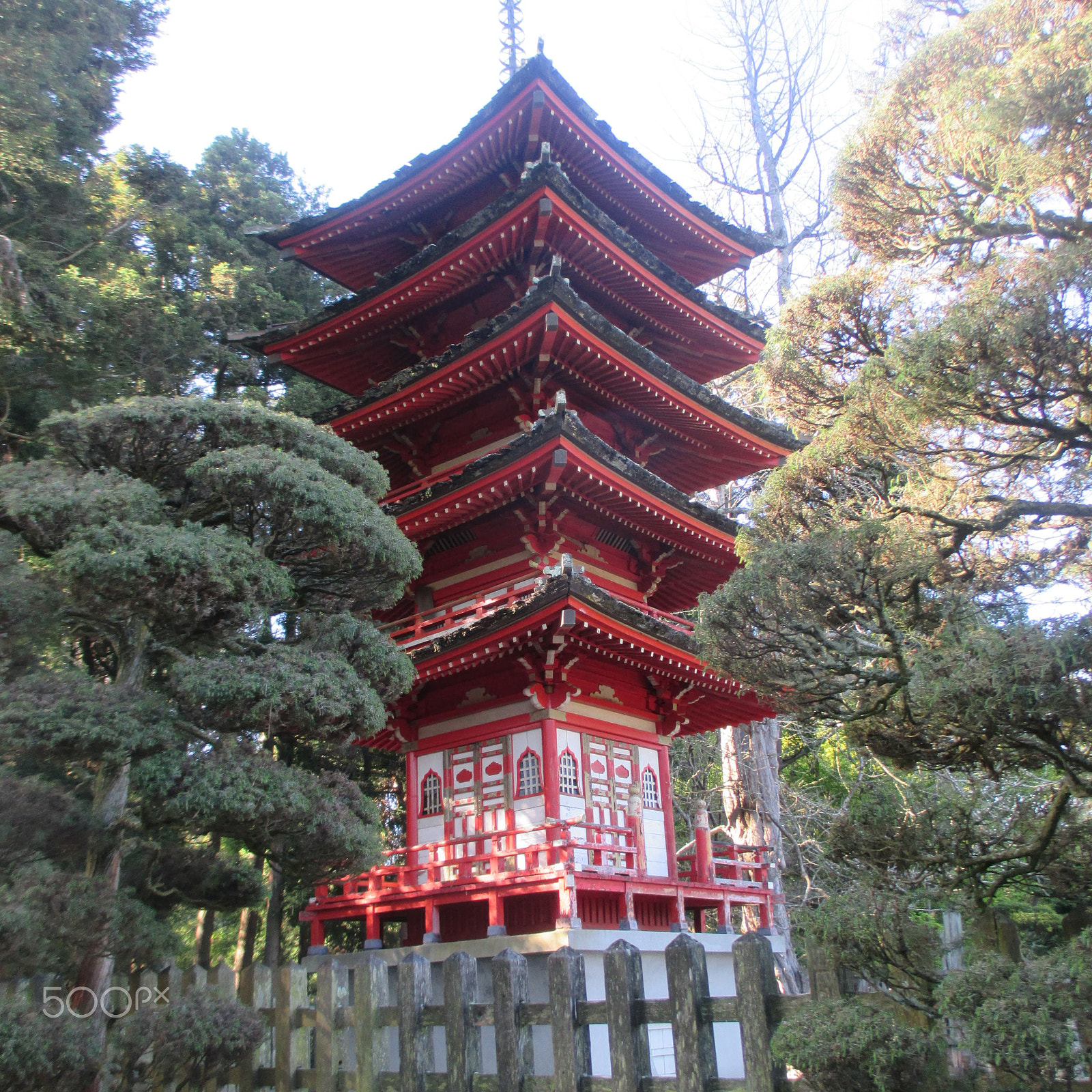 Canon PowerShot ELPH 130 IS (IXUS 140 / IXY 110F) sample photo. Japanese tea garden photography