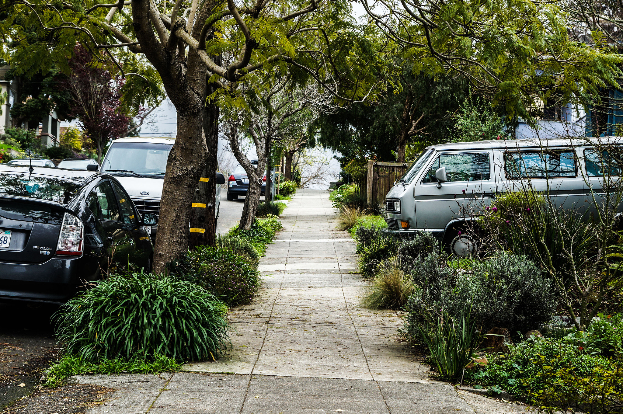 Sony SLT-A57 + Sony DT 16-50mm F2.8 SSM sample photo. Alley photography