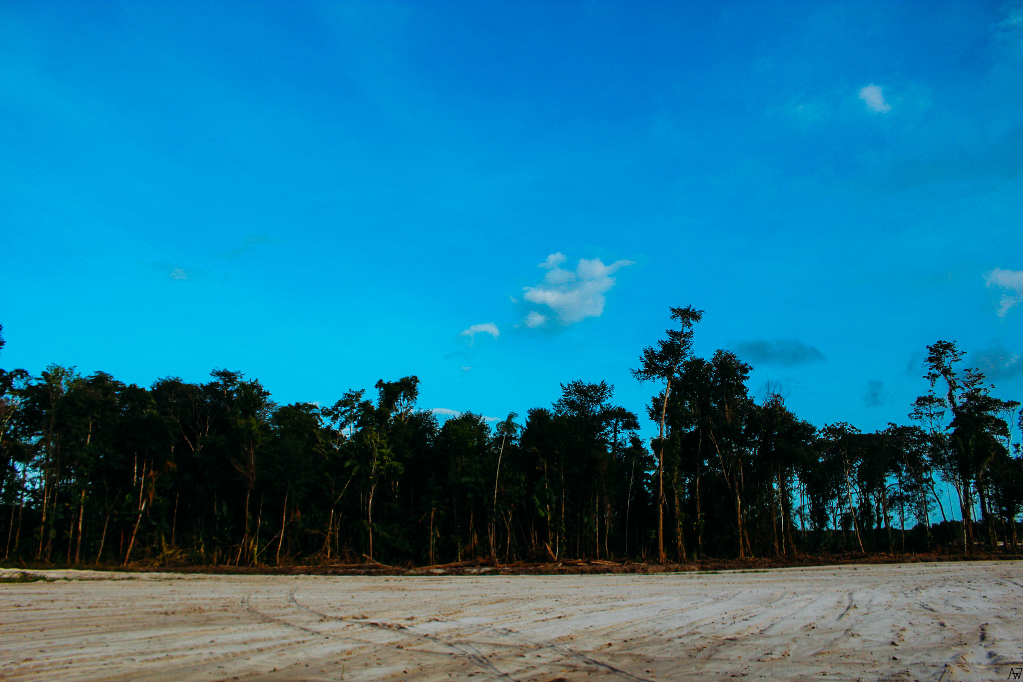 Canon EOS 1200D (EOS Rebel T5 / EOS Kiss X70 / EOS Hi) sample photo. Trees occupy the horizon photography
