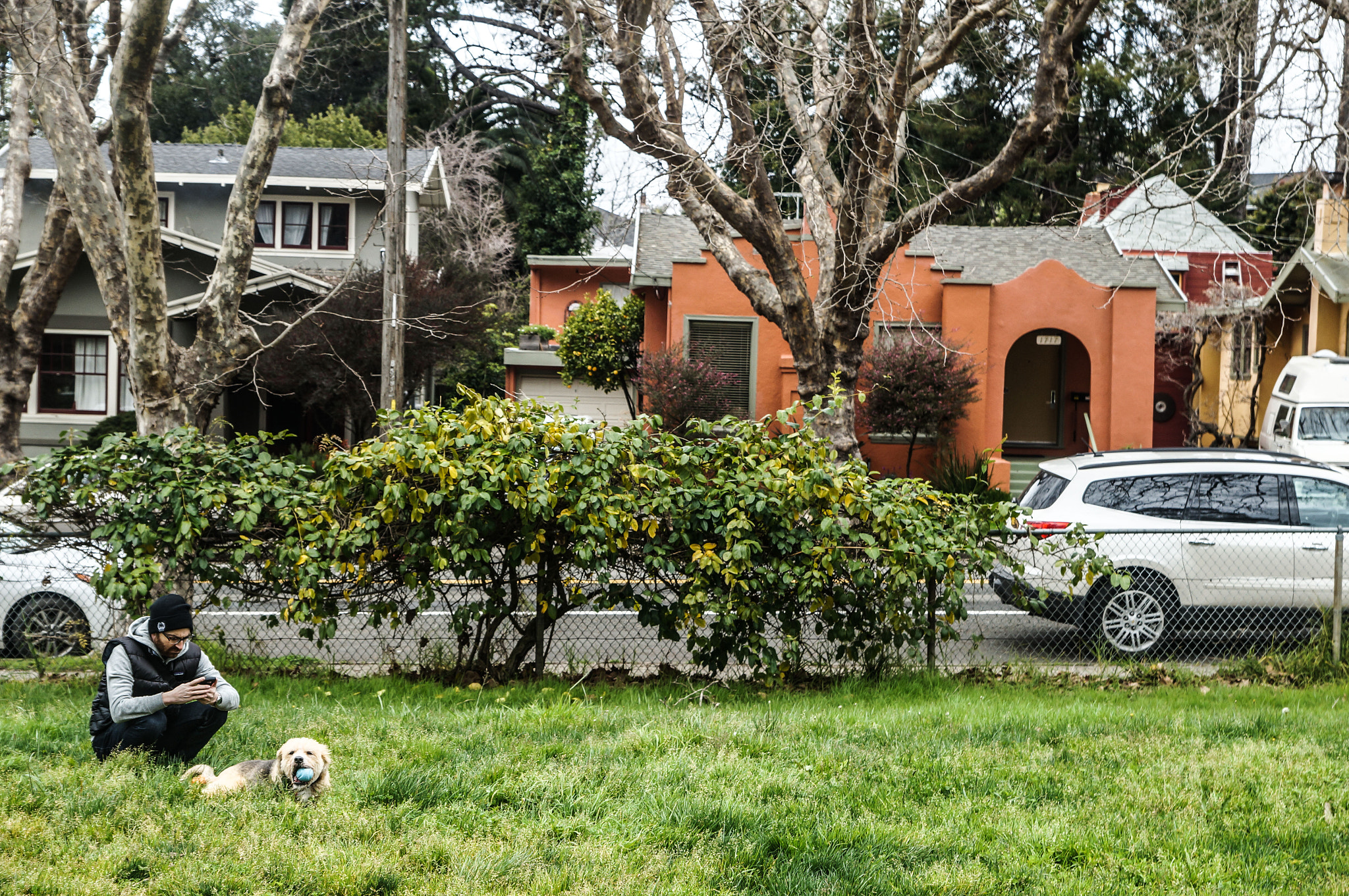 Sony SLT-A57 + Sony DT 16-50mm F2.8 SSM sample photo. Man's best friend photography