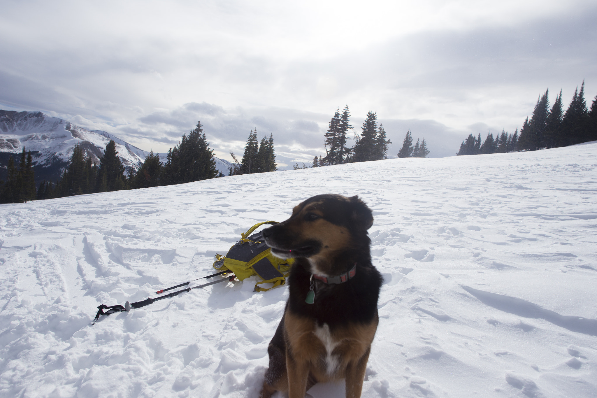 Canon EOS 6D + Sigma 24mm f/1.8 DG Macro EX sample photo. Bentley at the top photography