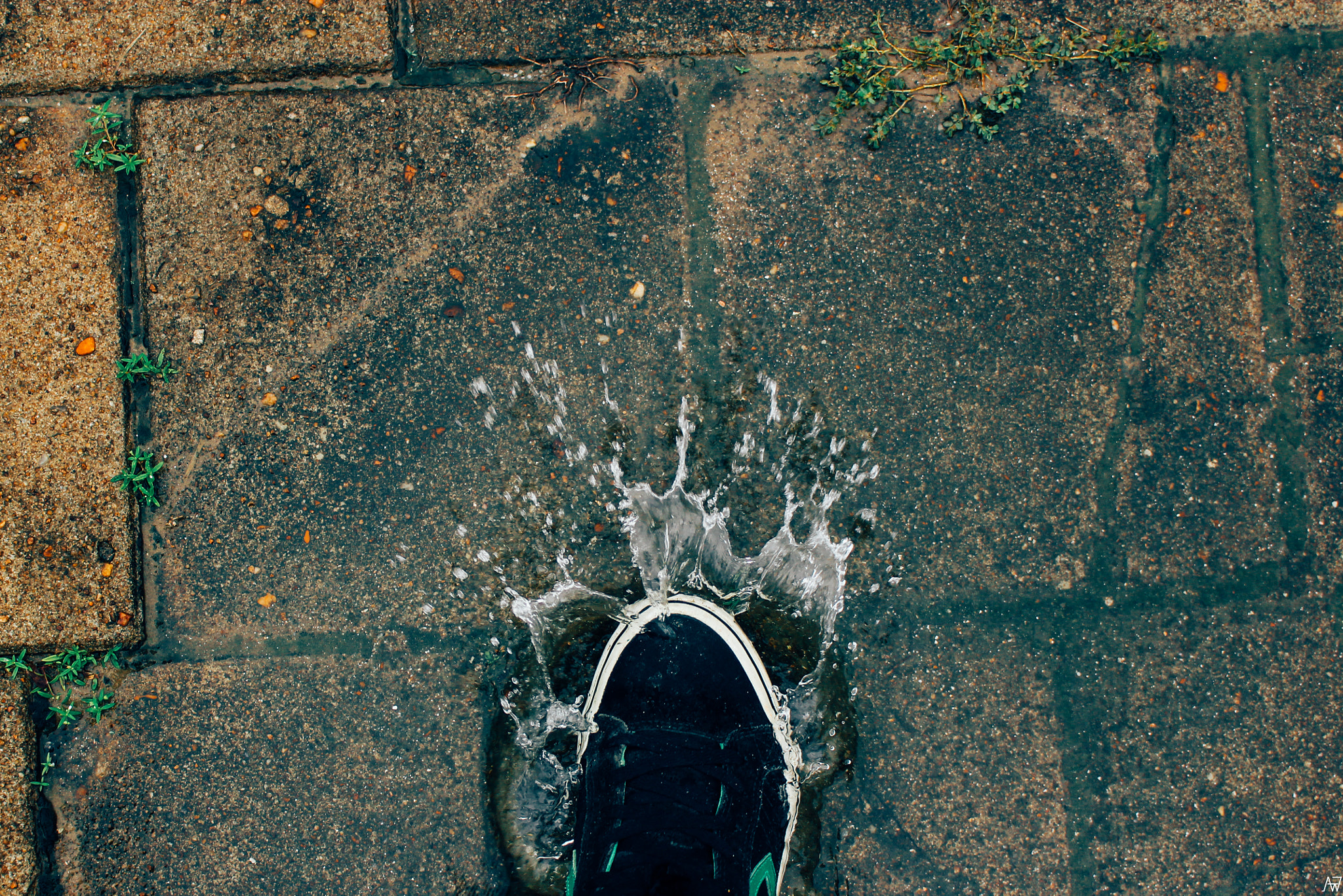 Canon EOS 1200D (EOS Rebel T5 / EOS Kiss X70 / EOS Hi) sample photo. Shoes and splashes photography