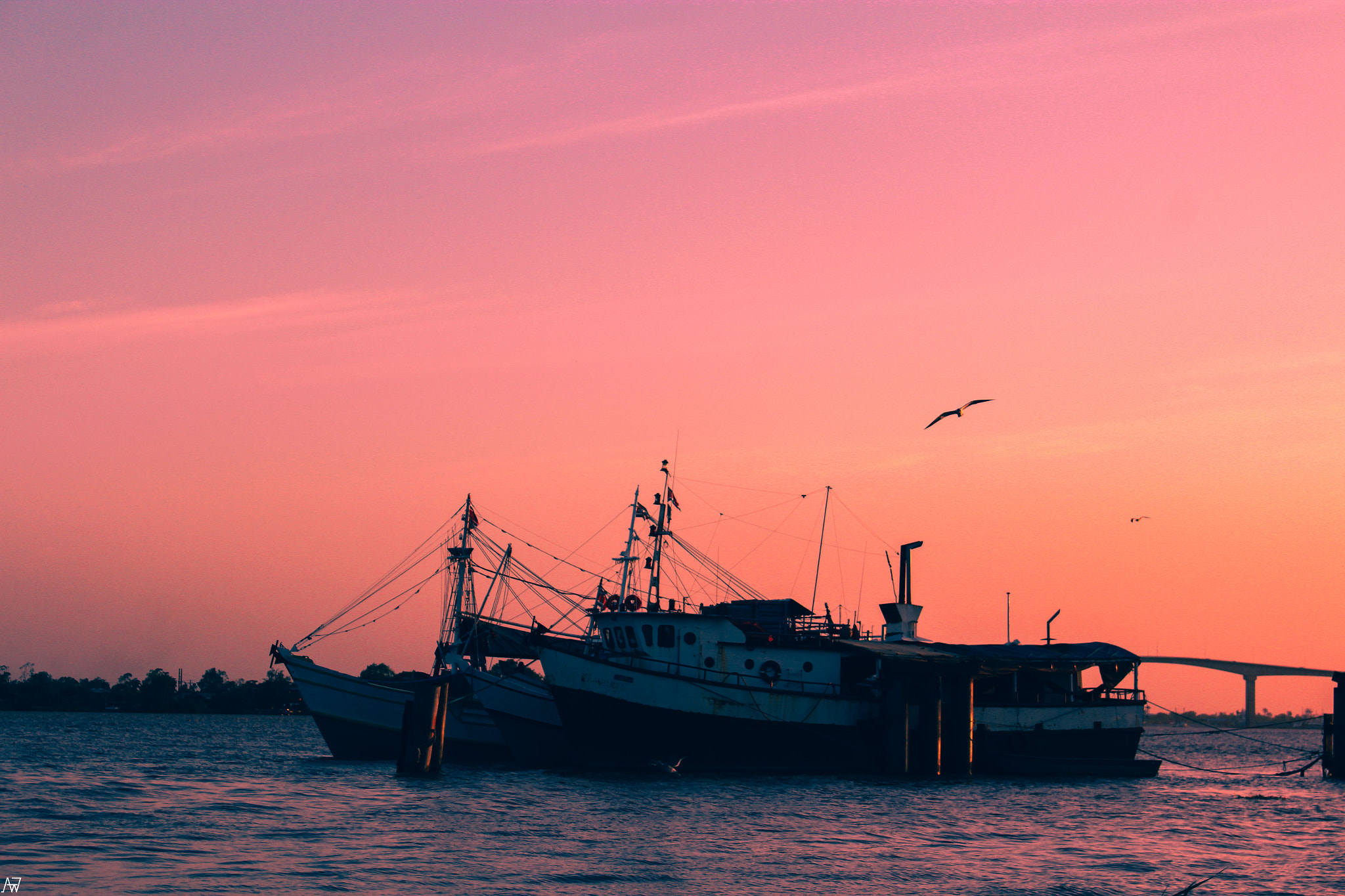 Canon EOS 1200D (EOS Rebel T5 / EOS Kiss X70 / EOS Hi) sample photo. Ankered boats photography