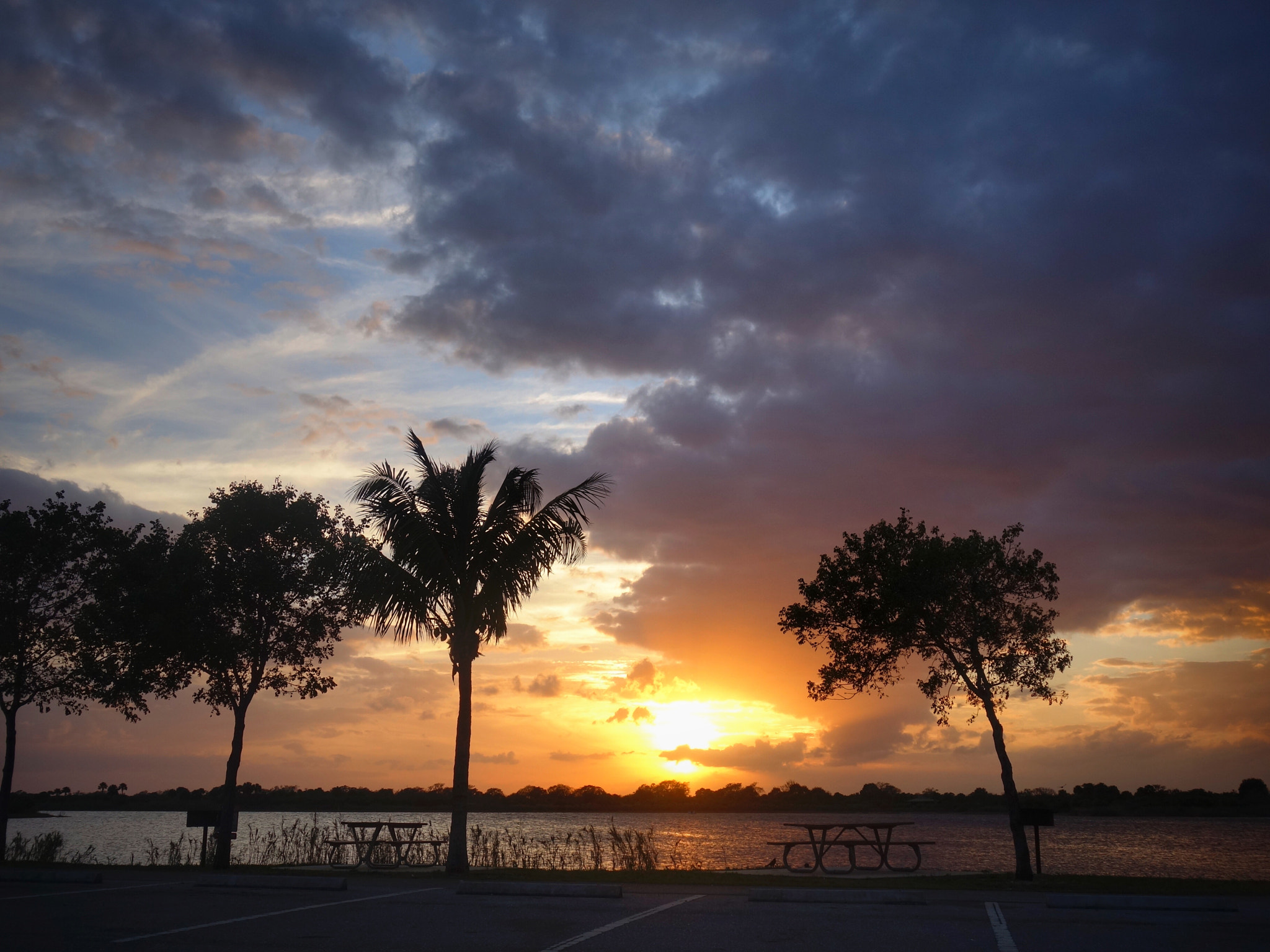 Sony 28-100mm F1.8-4.9 sample photo. Florida in march photography