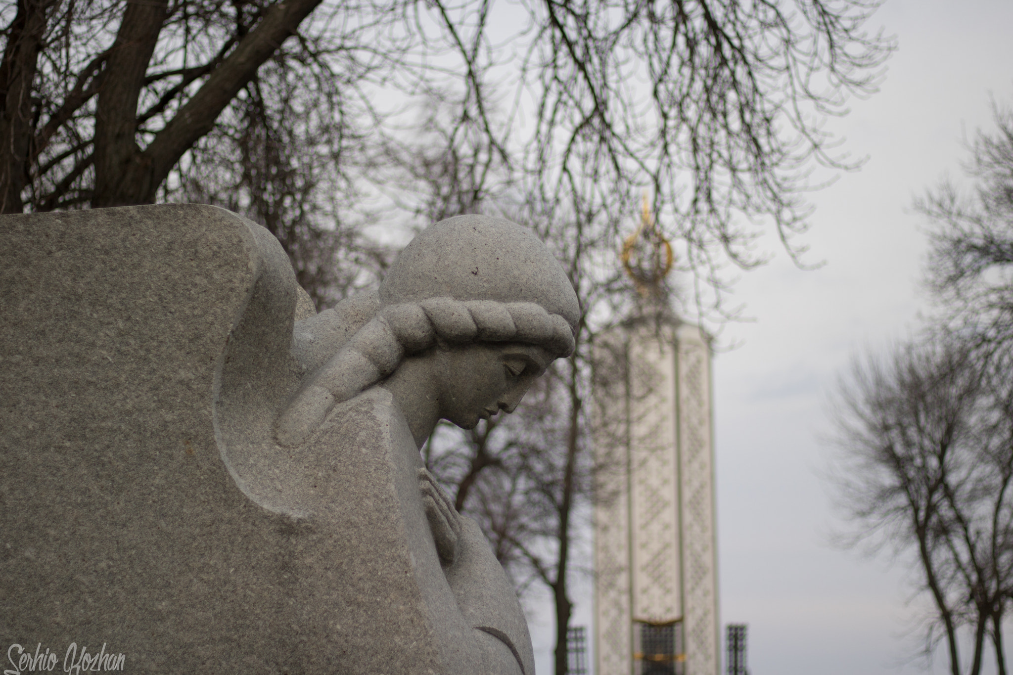 Canon EOS 760D (EOS Rebel T6s / EOS 8000D) + Canon EF 50mm F1.8 STM sample photo. Holodomor 1932—1933 angel photography