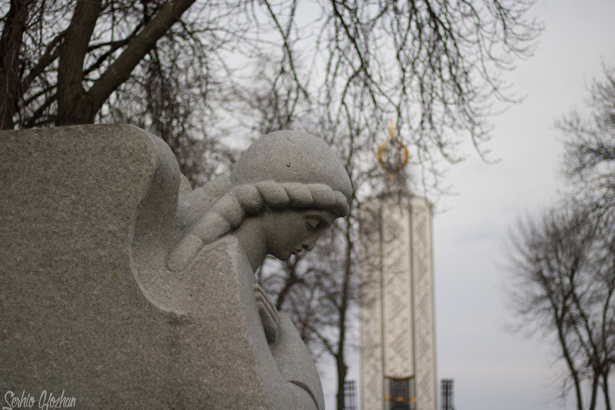 Canon EOS 760D (EOS Rebel T6s / EOS 8000D) sample photo. Holodomor 1932—1933 angel photography