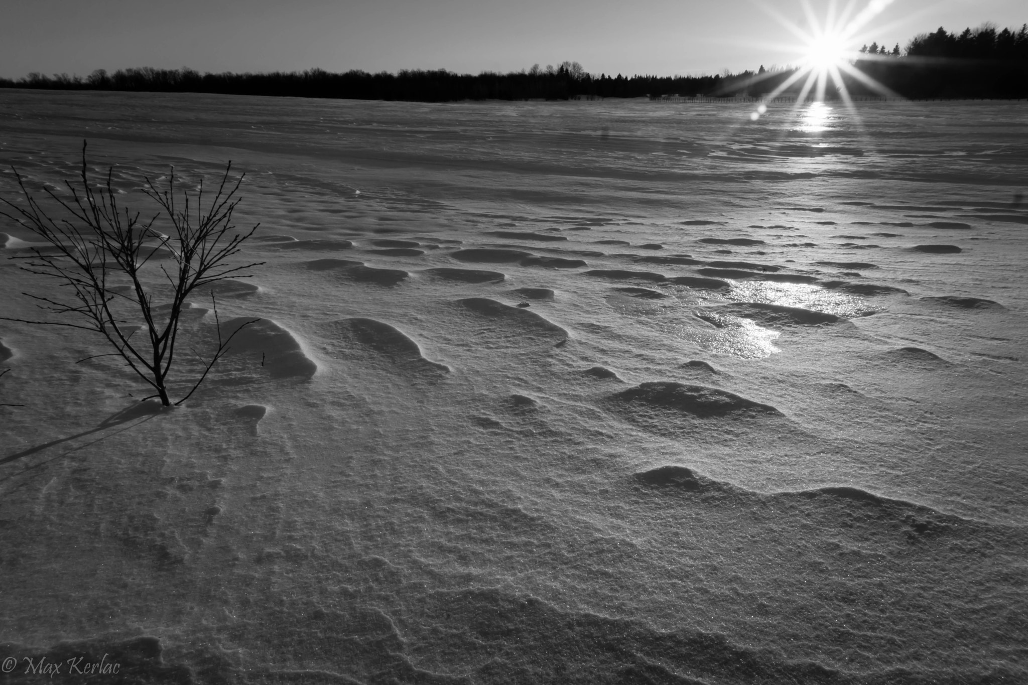 Sony Alpha NEX-7 + Sony E 16-50mm F3.5-5.6 PZ OSS sample photo. Frozen field photography