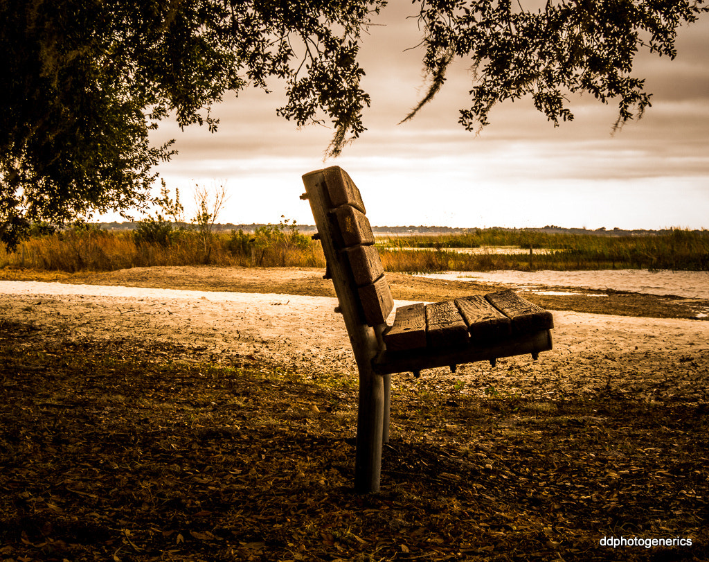 Olympus OM-D E-M10 II sample photo. Someday bench... photography