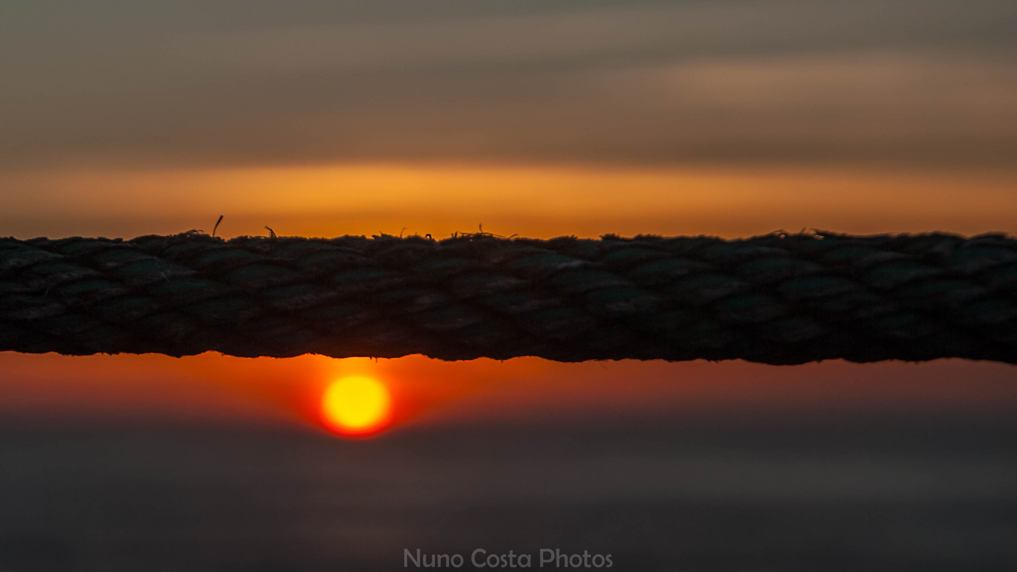 Nikon D60 sample photo. I walk the line photography