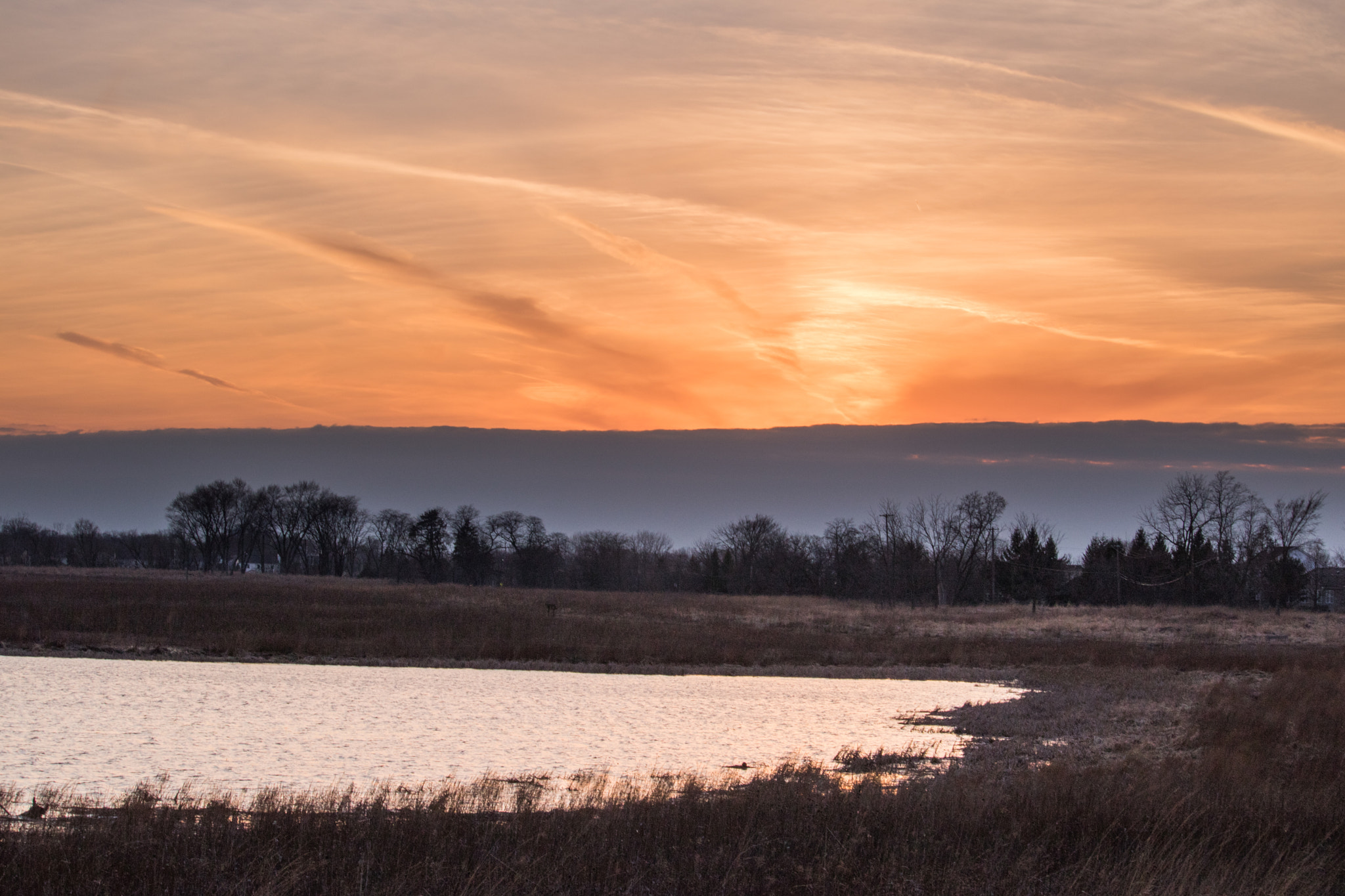 Canon EF-S 55-250mm F4-5.6 IS STM sample photo. Rollins savannah march sunset photography